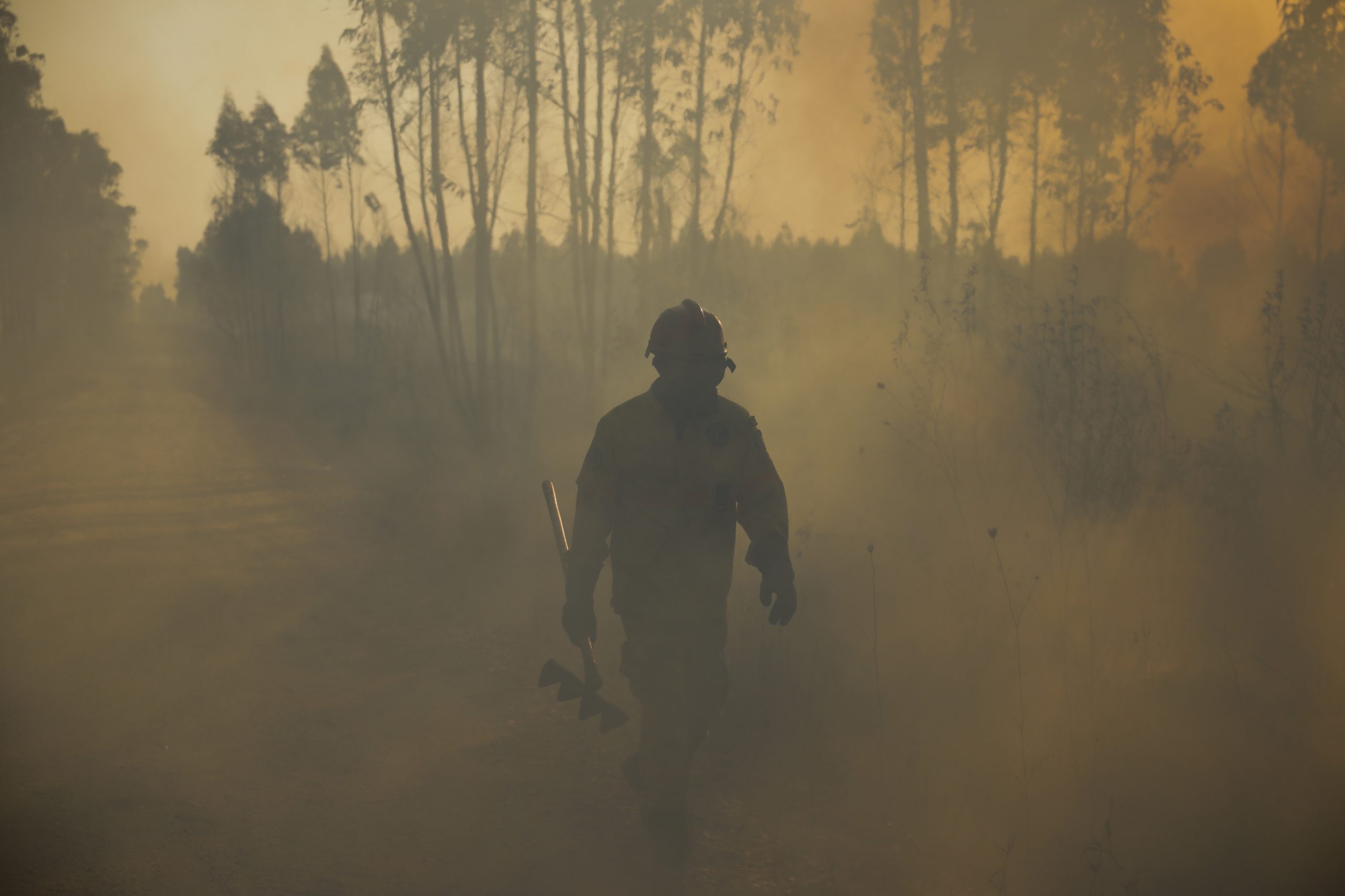 Incêndio em Lagos entrou em fase de rescaldo