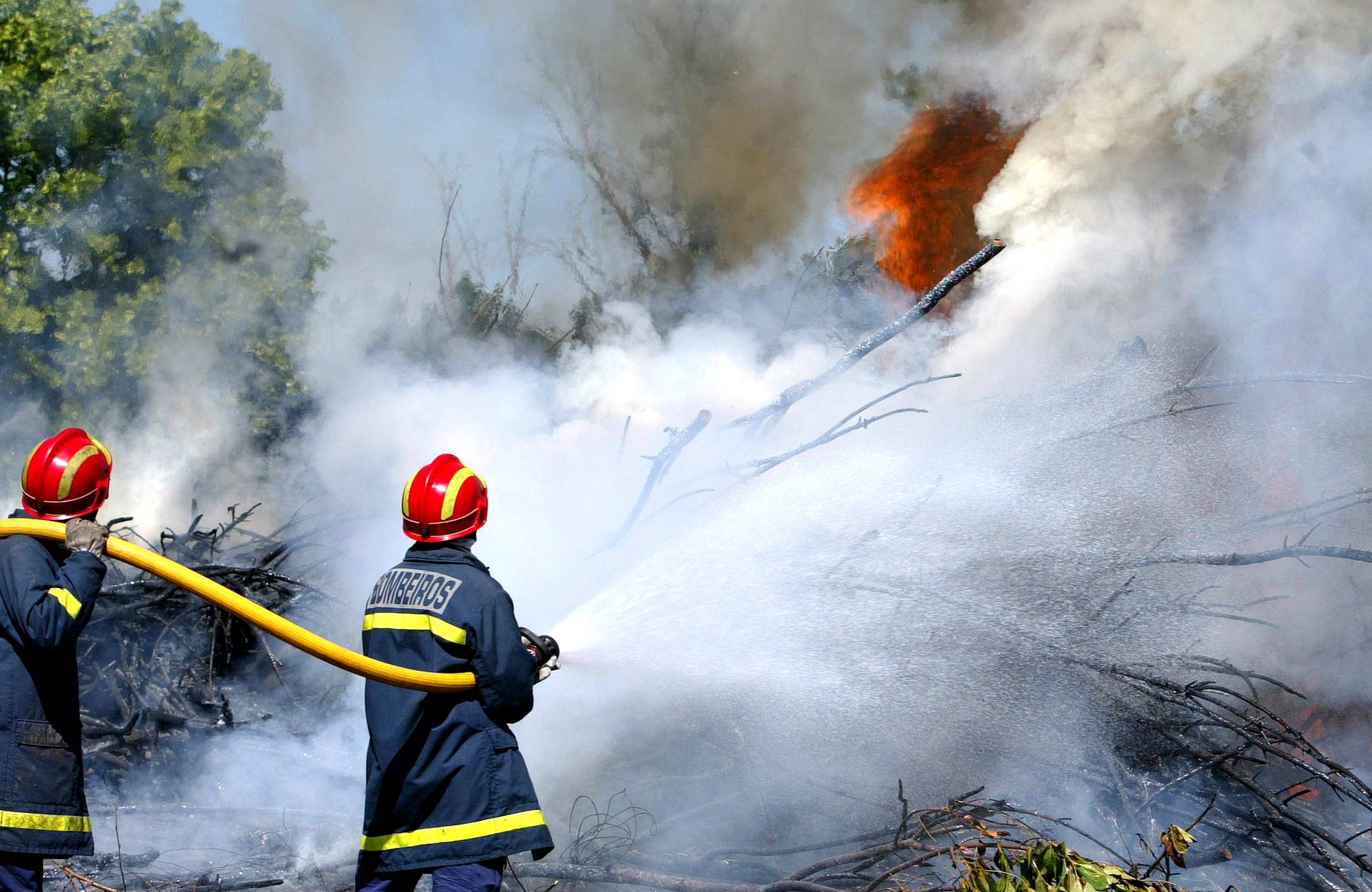 Incêndios: Casas evacuadas na Trofa e Maia, chamas combatidas por 81 homens