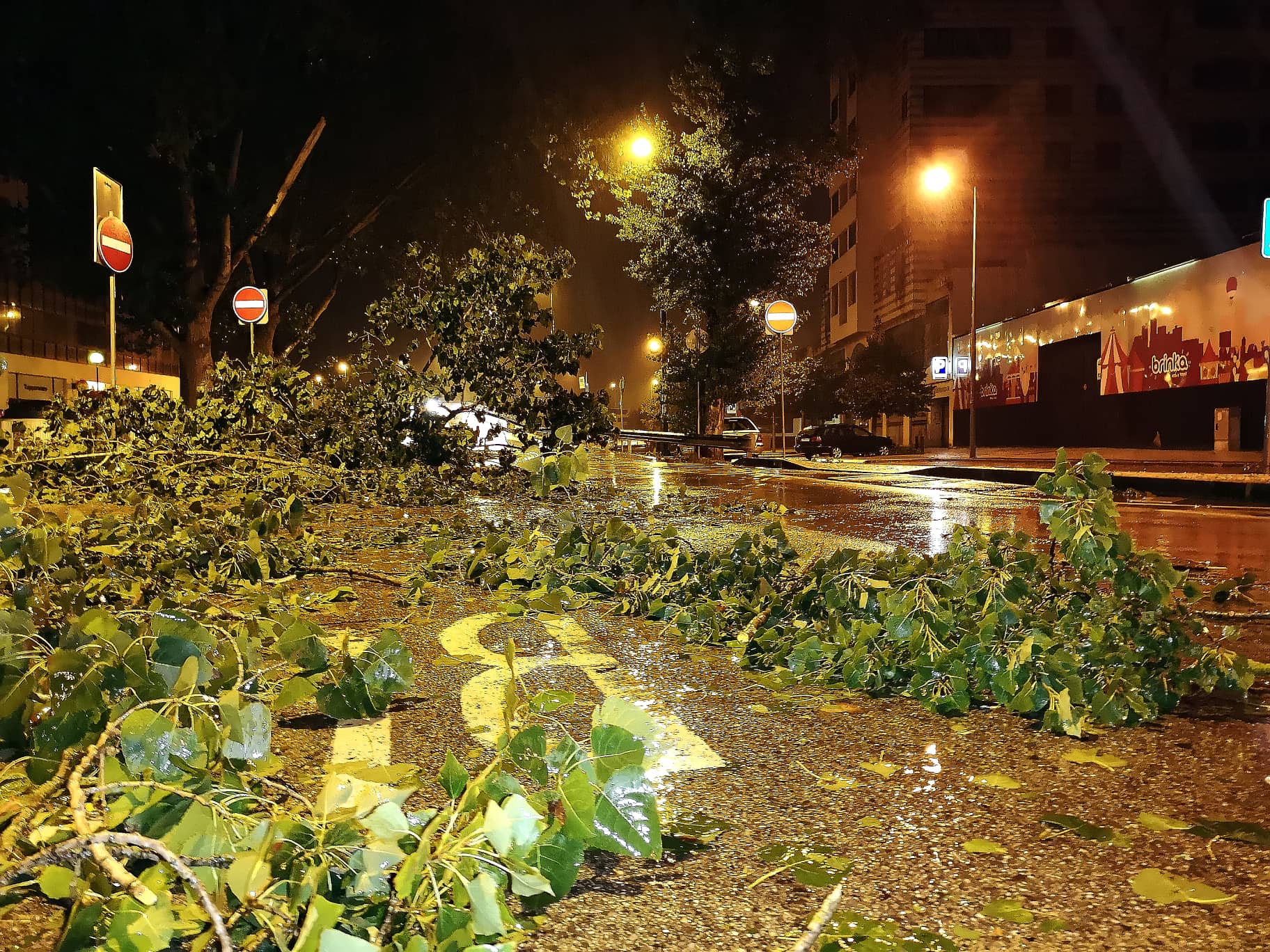 Tempestade Leslie. Pombal reclama cerca de cinco milhões de euros de prejuízos causados pelo temporal