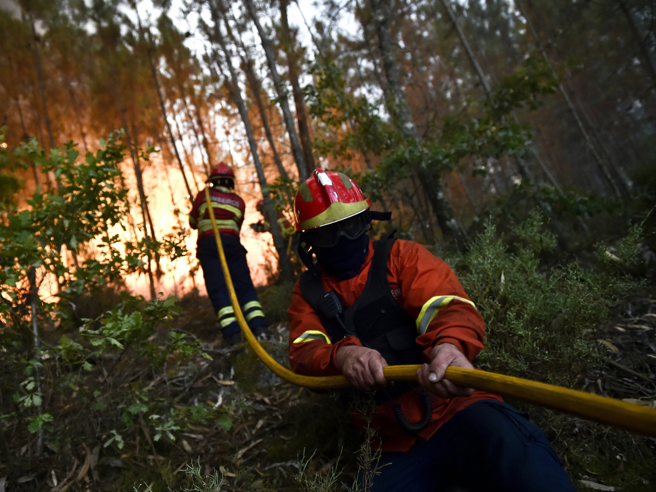 Incêndios: Fogo ameaça duas povoações no concelho da Pampilhosa da Serra