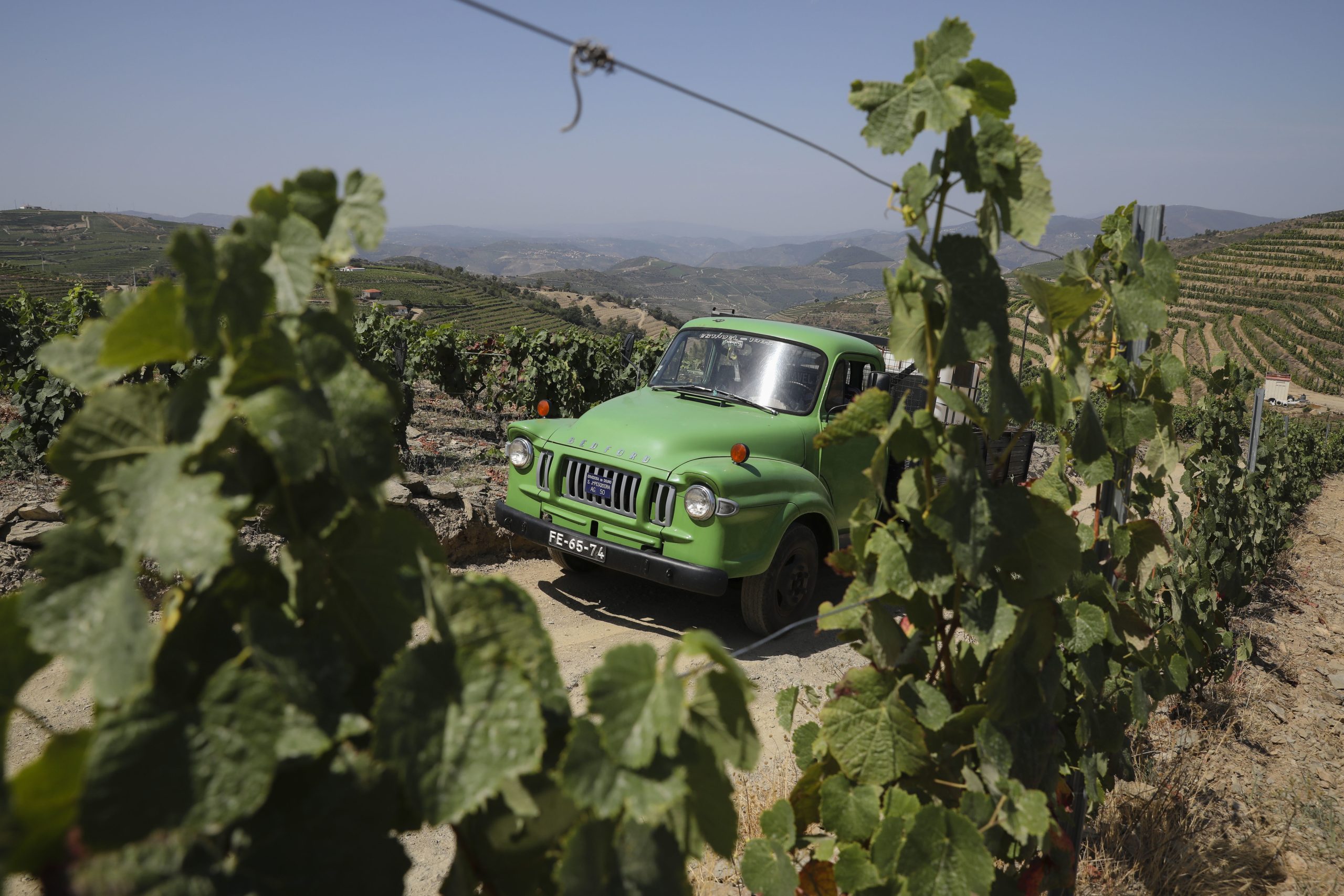 Carrinhas Bedford estão na moda no Douro para trabalho e turismo