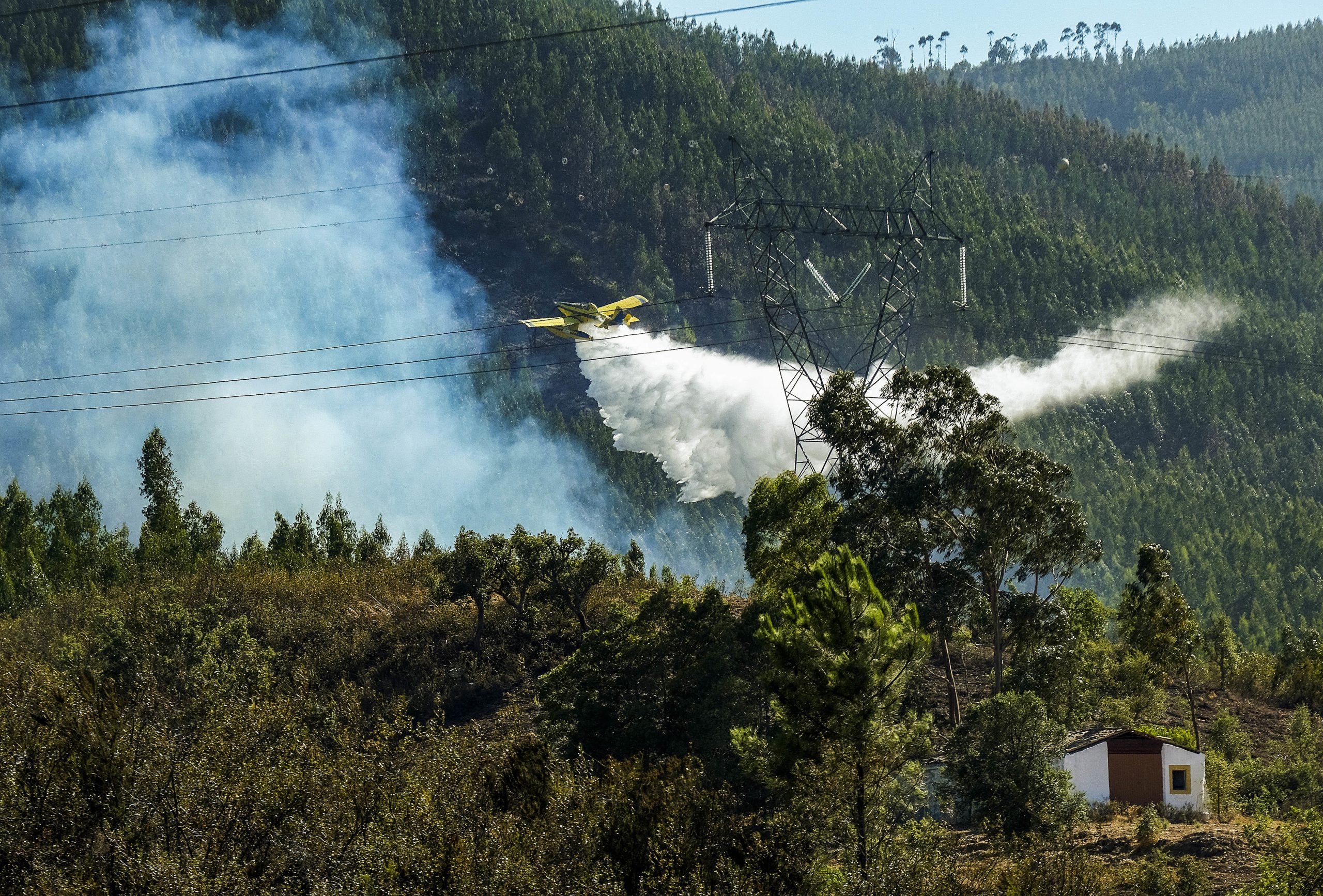 Incêndios: Pelo menos 13 pessoas retiradas por precaução e 15 turistas saíram de alojamento em Odemira