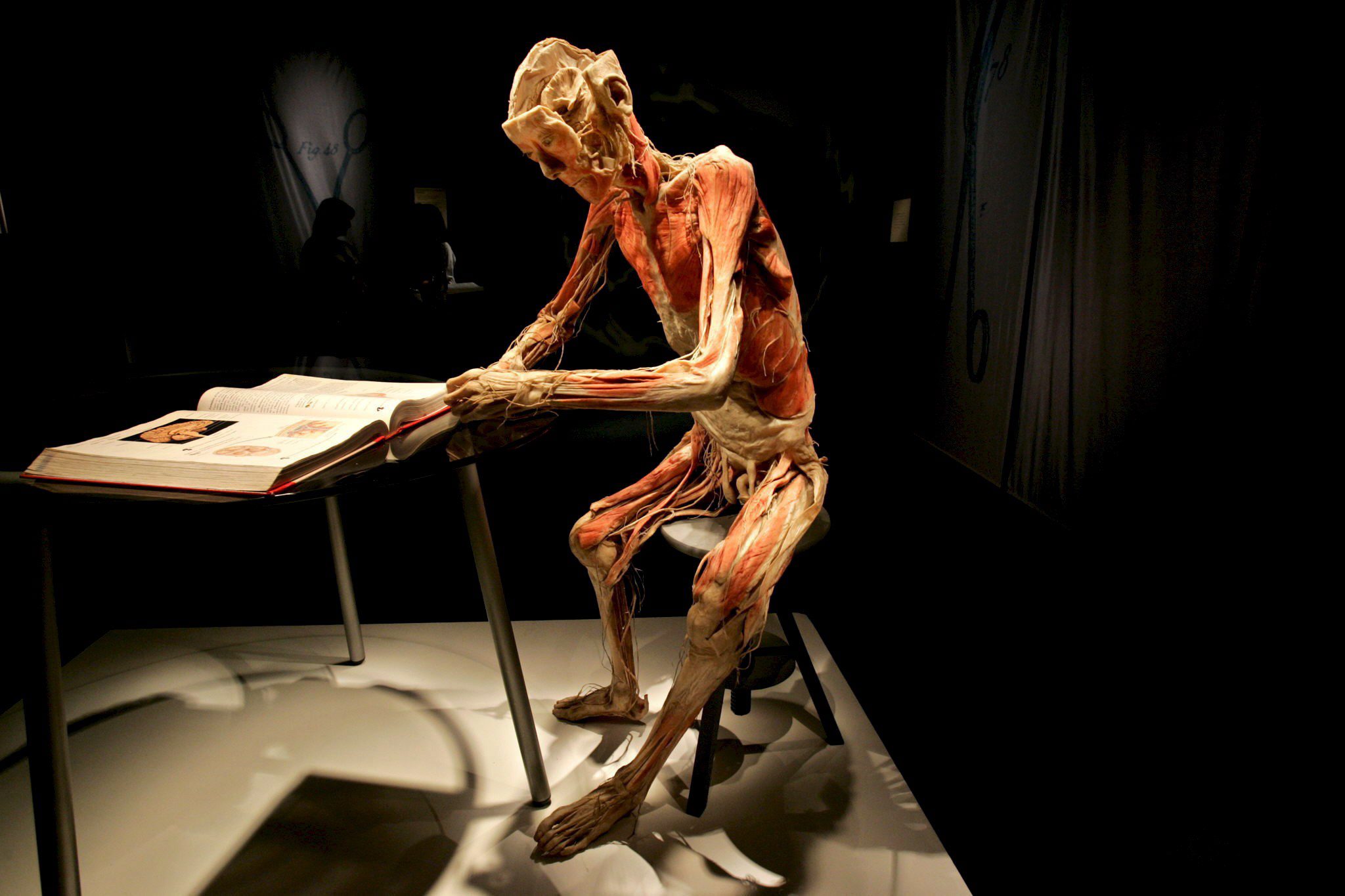 Exposição ‘Bodies’ mostra em Las Vegas efeito da covid-19 no corpo humano