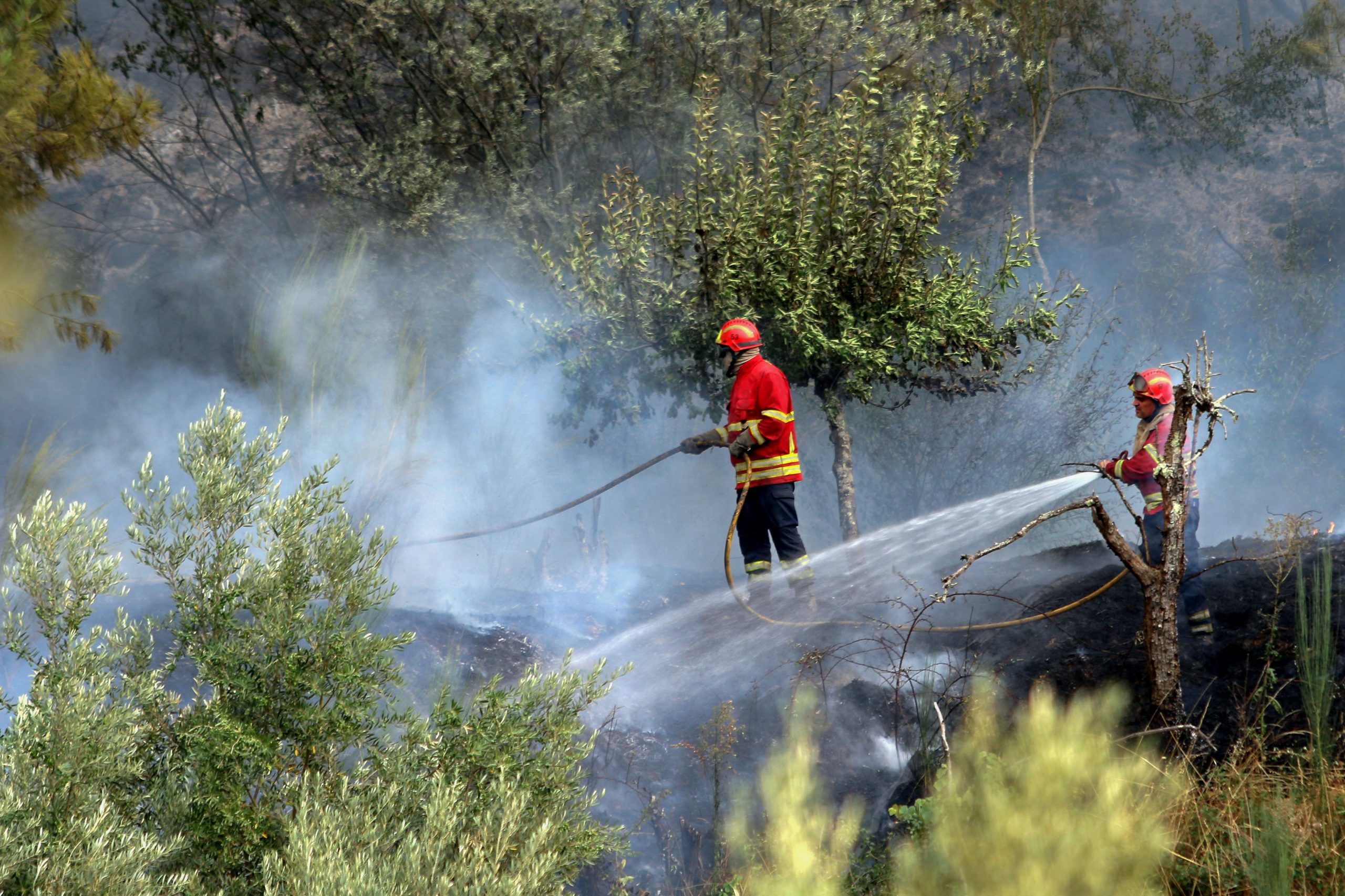 Incêndios: Fogo em Porto de Mós em fase de resolução