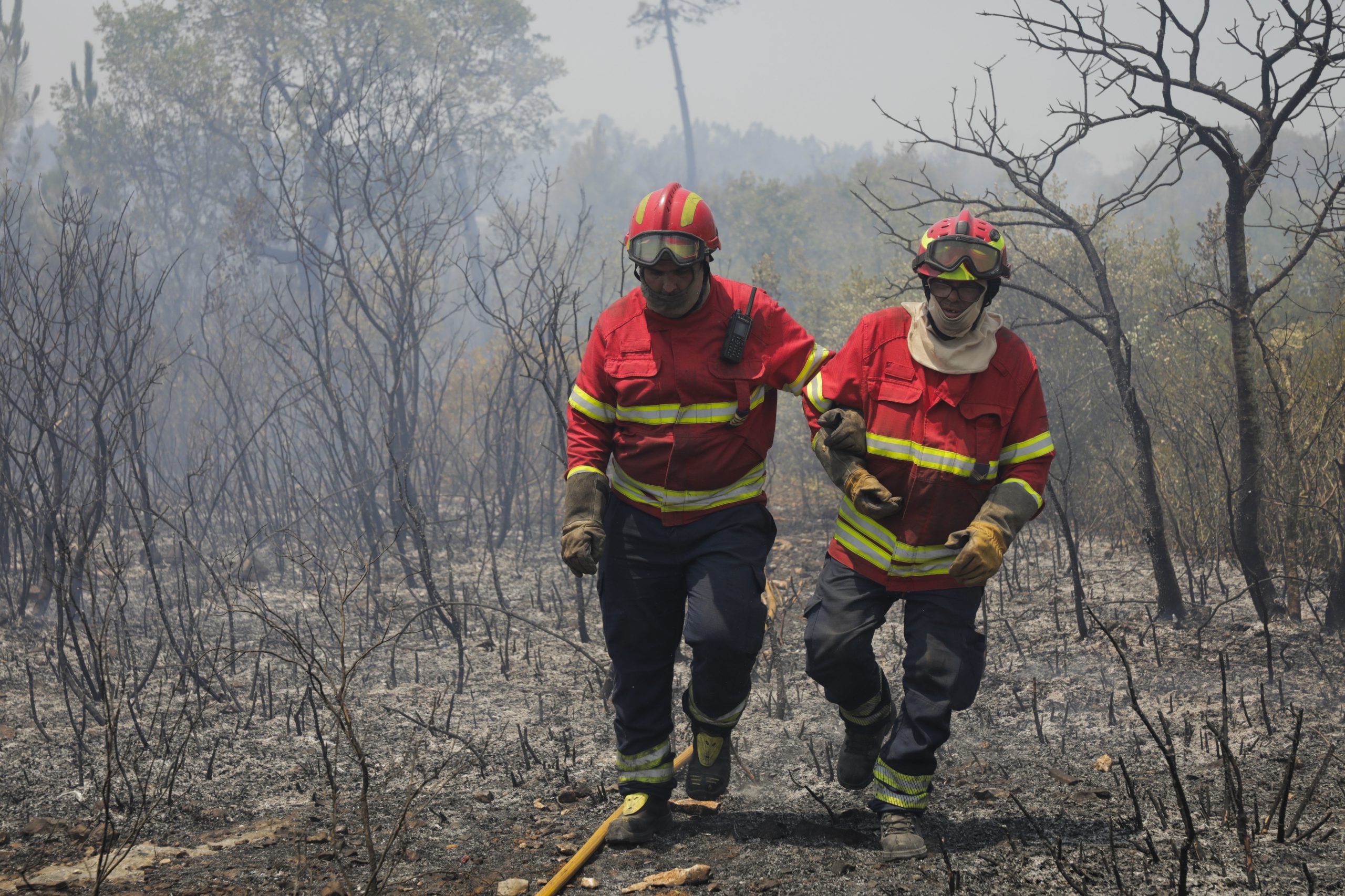Mais de 1.200 bombeiros combatem quatro incêndios em Portugal. Proença-a-Nova e Portel concentram meios