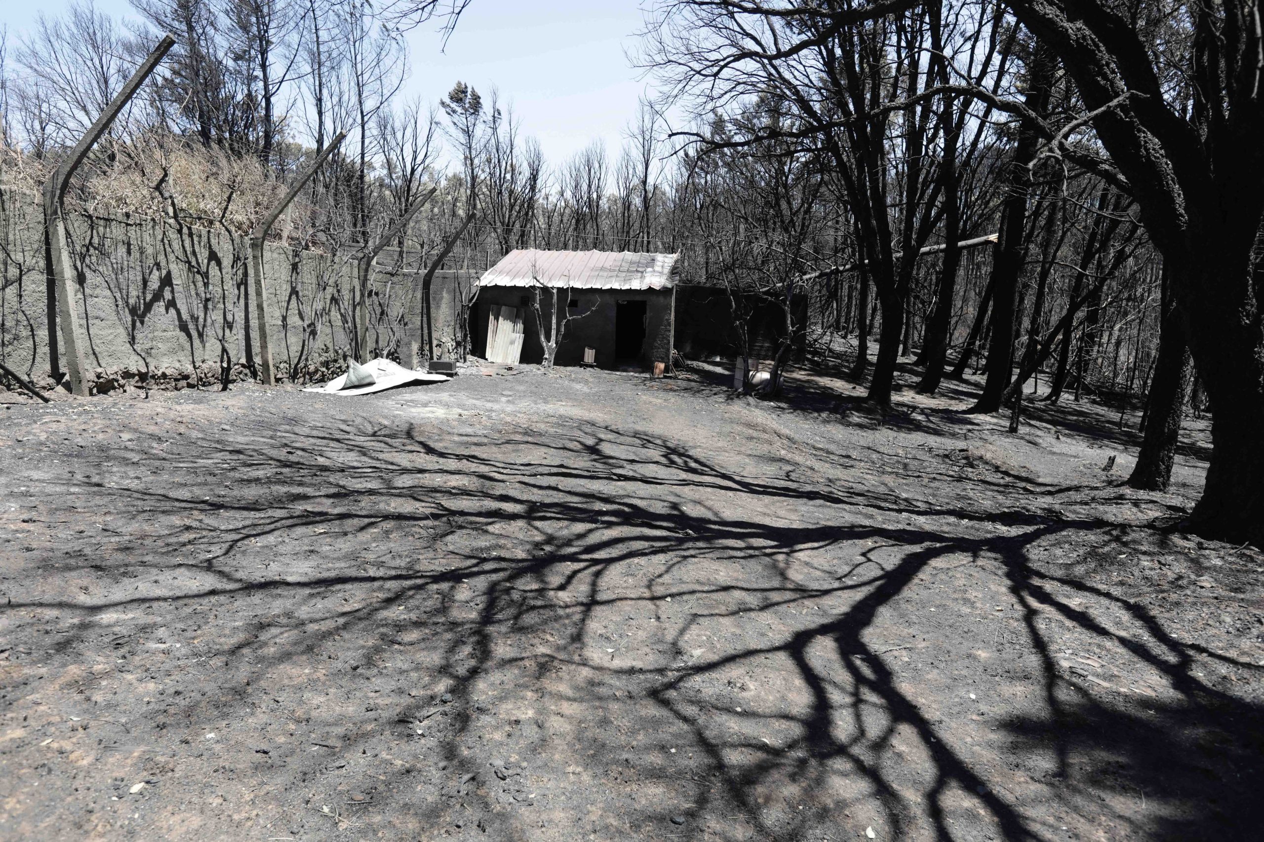 Incêndios: Morreu mulher que estava internada em Coimbra