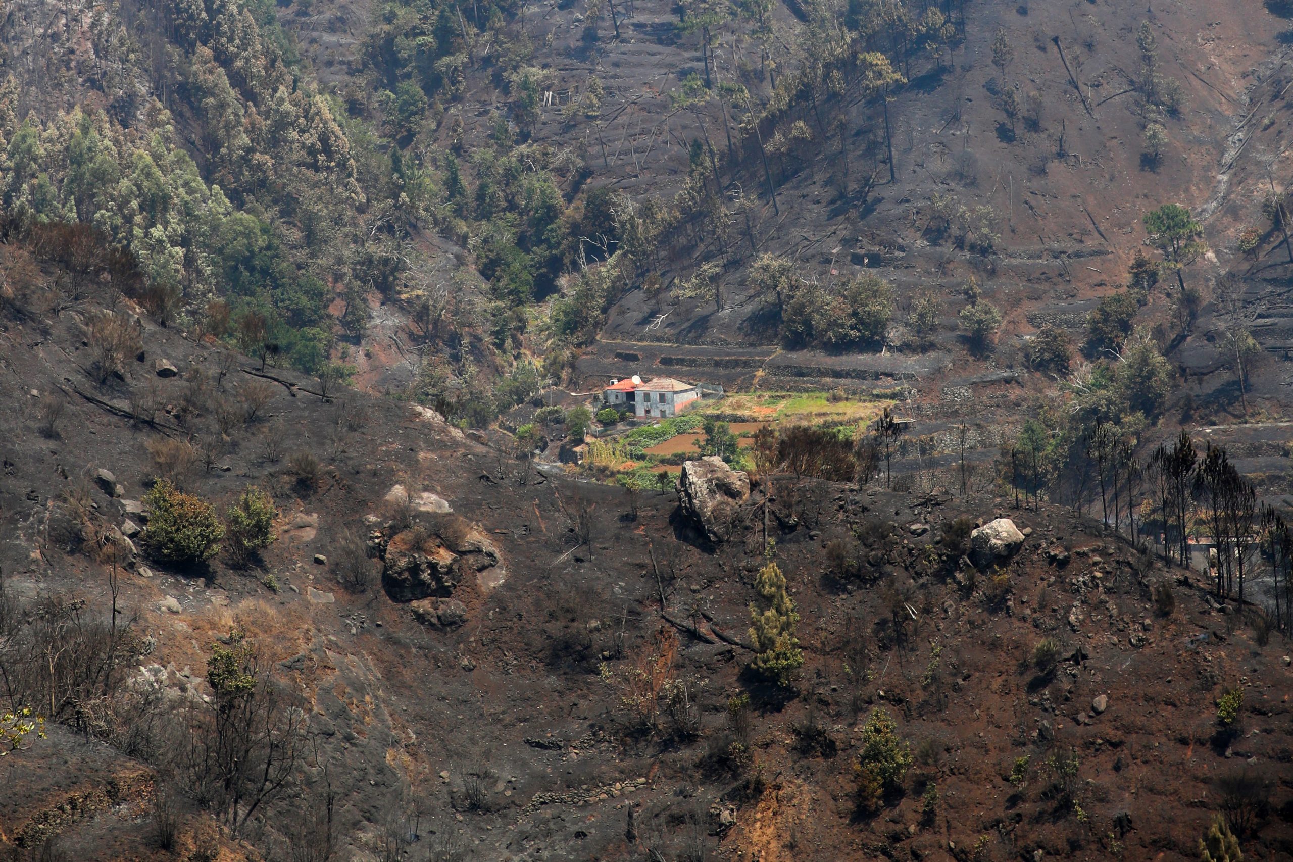 Madeira: GEOTA defende plano urgente para estabilizar solos antes das chuvas