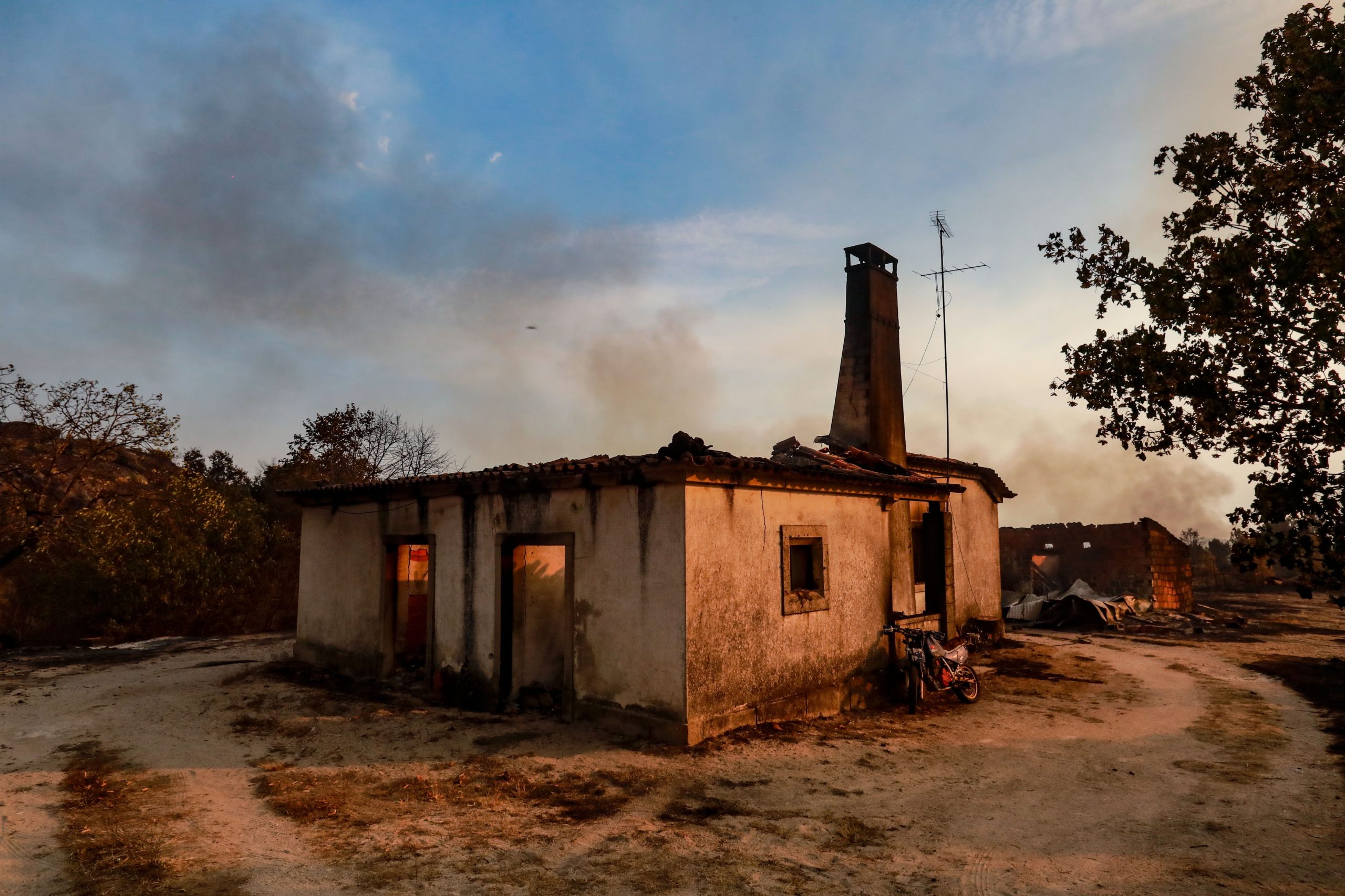 Hoje é notícia. Governo avança com apoios a vítimas e empresas afetadas pelos incêndios