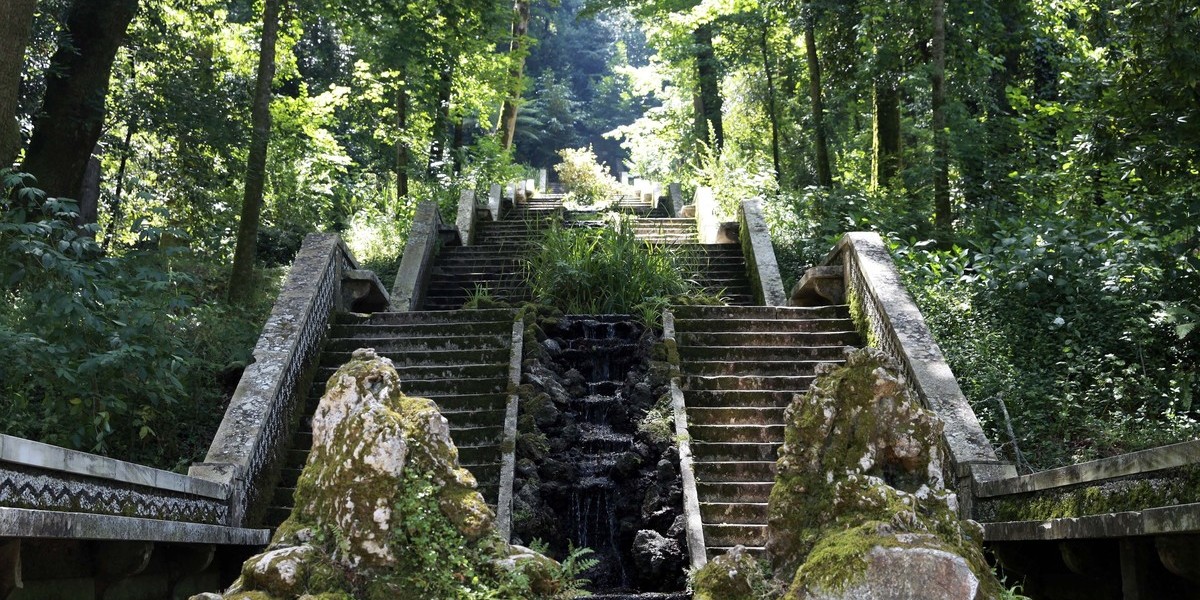 Fundação Mata Bussaco acredita em classificação da UNESCO