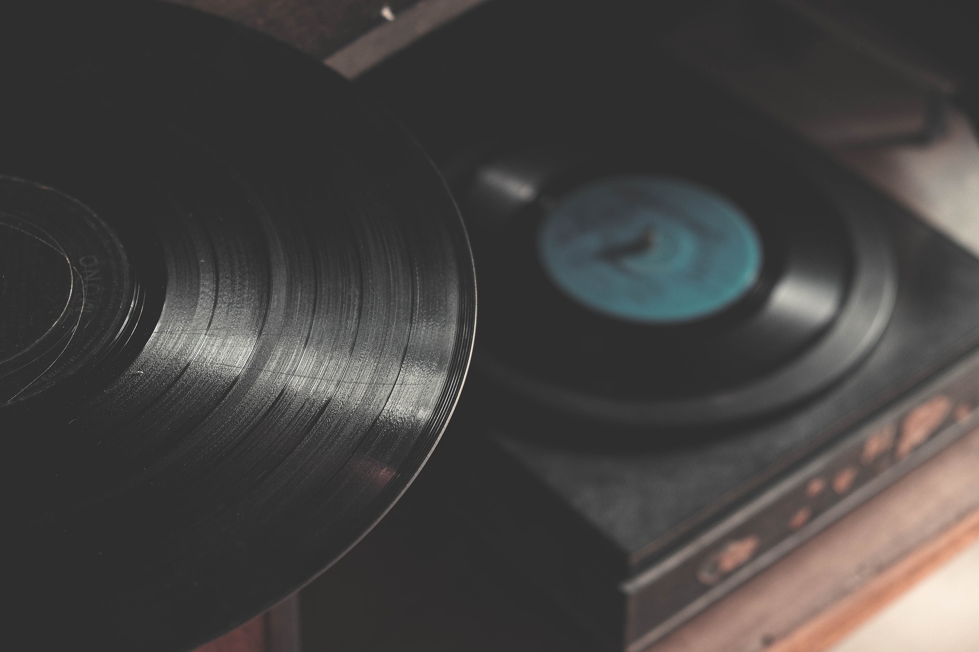 De Adolfo Luxúria Canibal a Sónia Tavares. O disco de vinil para eles