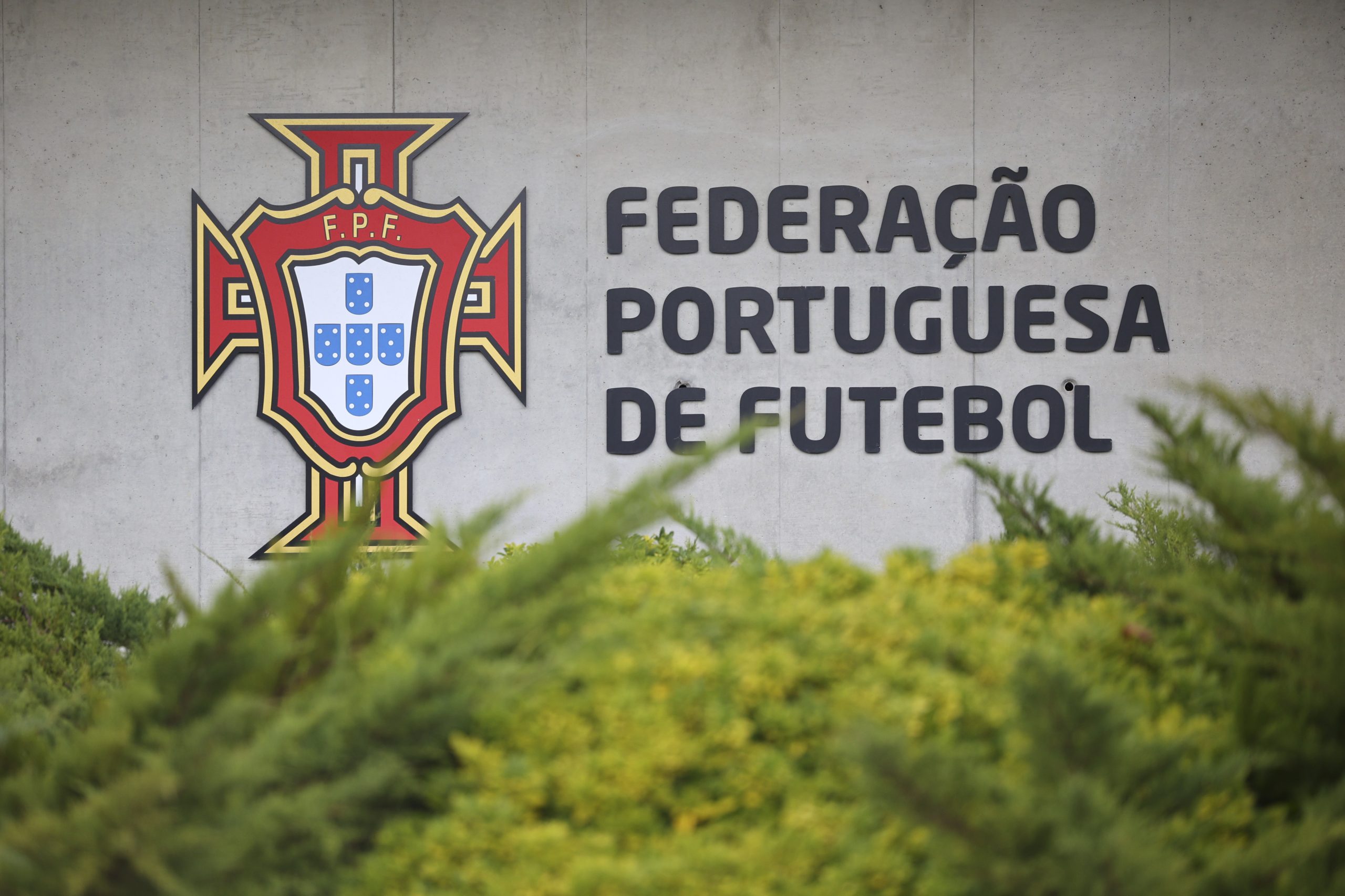 Apoio de 20 milhões, uma Cidade do Futebol no Norte e críticas a Proença. Nuno Lobo é candidato à FPF