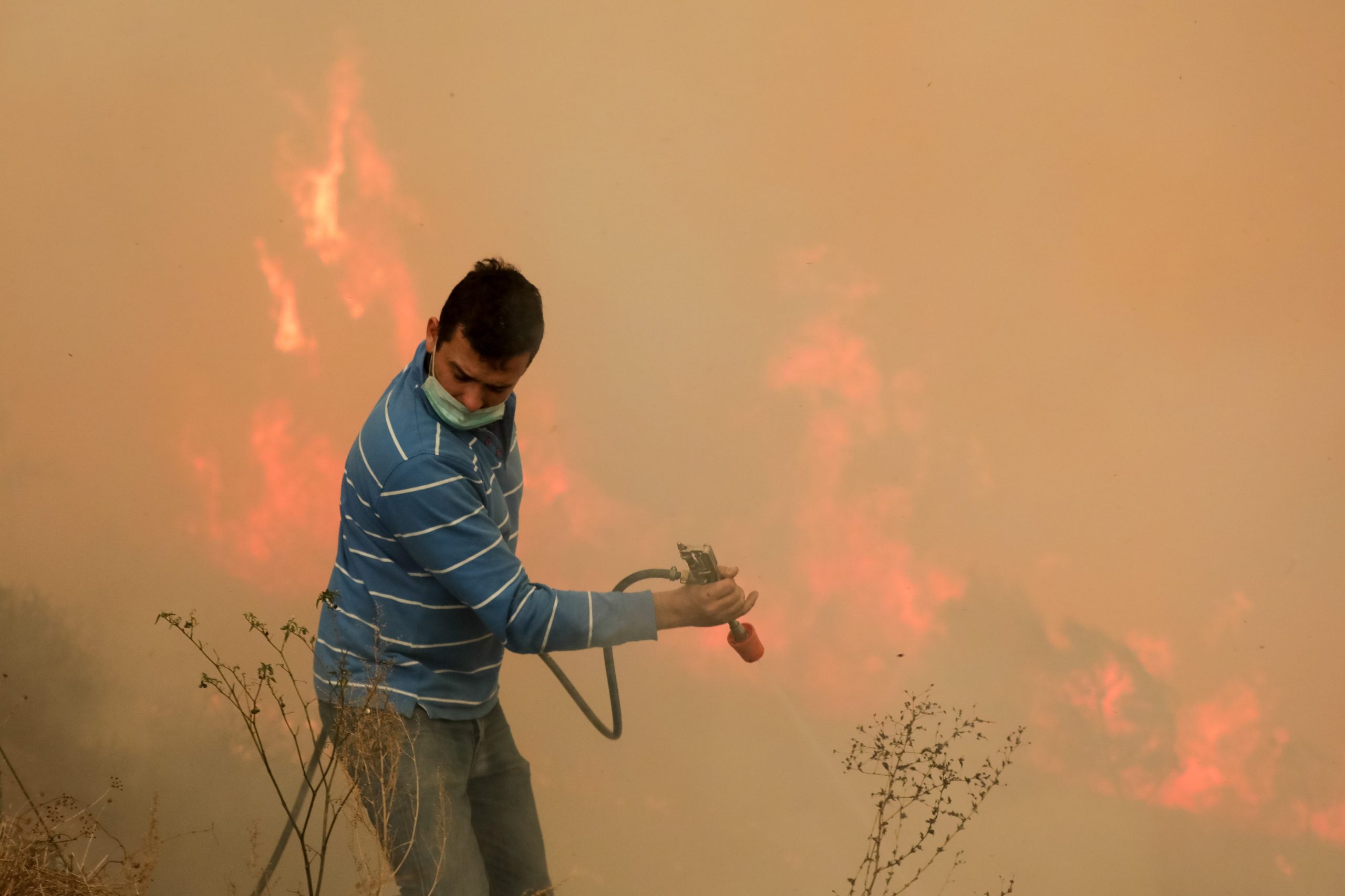 Incêndios: Vila Nova de Poiares com cerca de 70% do território ardido