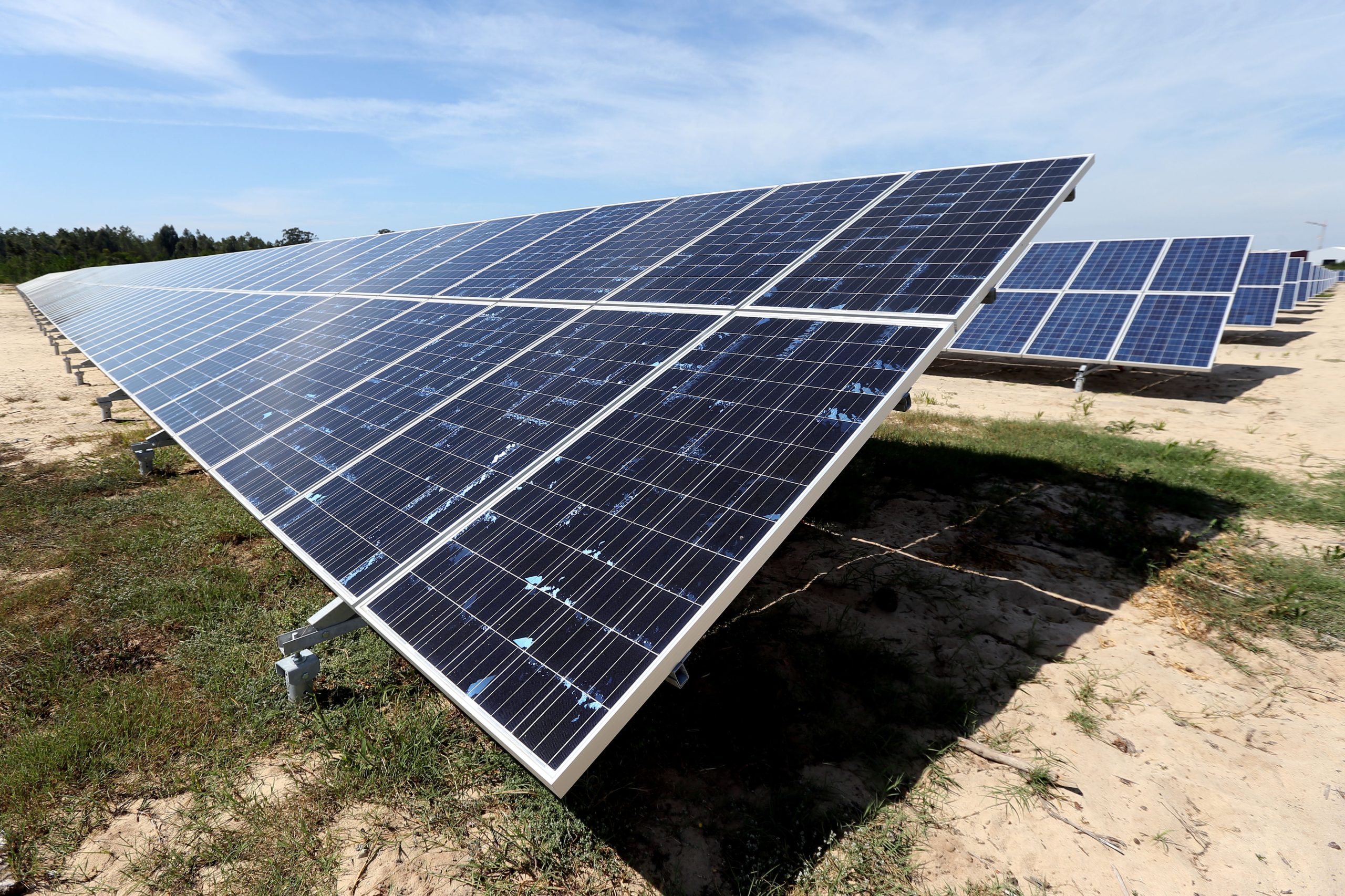 Câmara de Lisboa vai construir central fotovoltaica em Carnide