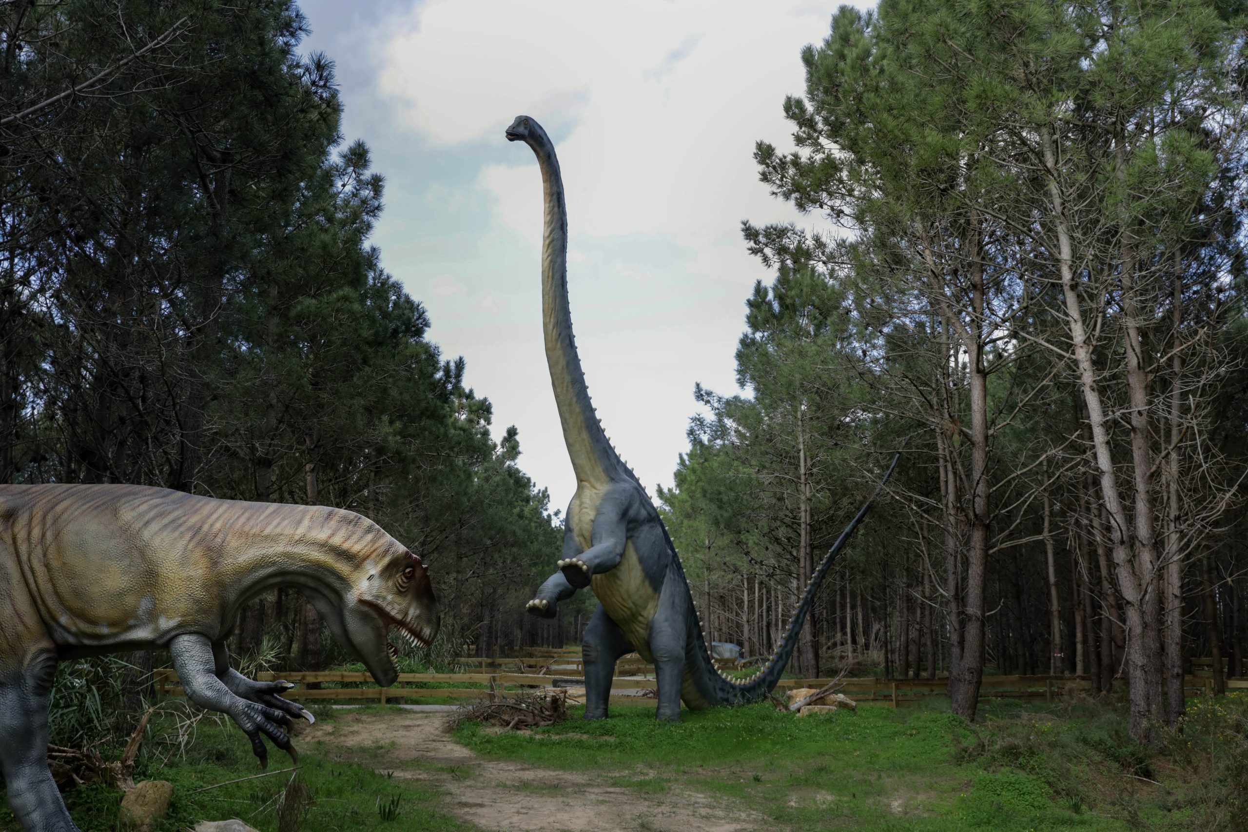 Dino Parque da Lourinhã mostra réptil marinho da era dos dinossauros descoberto em Portugal