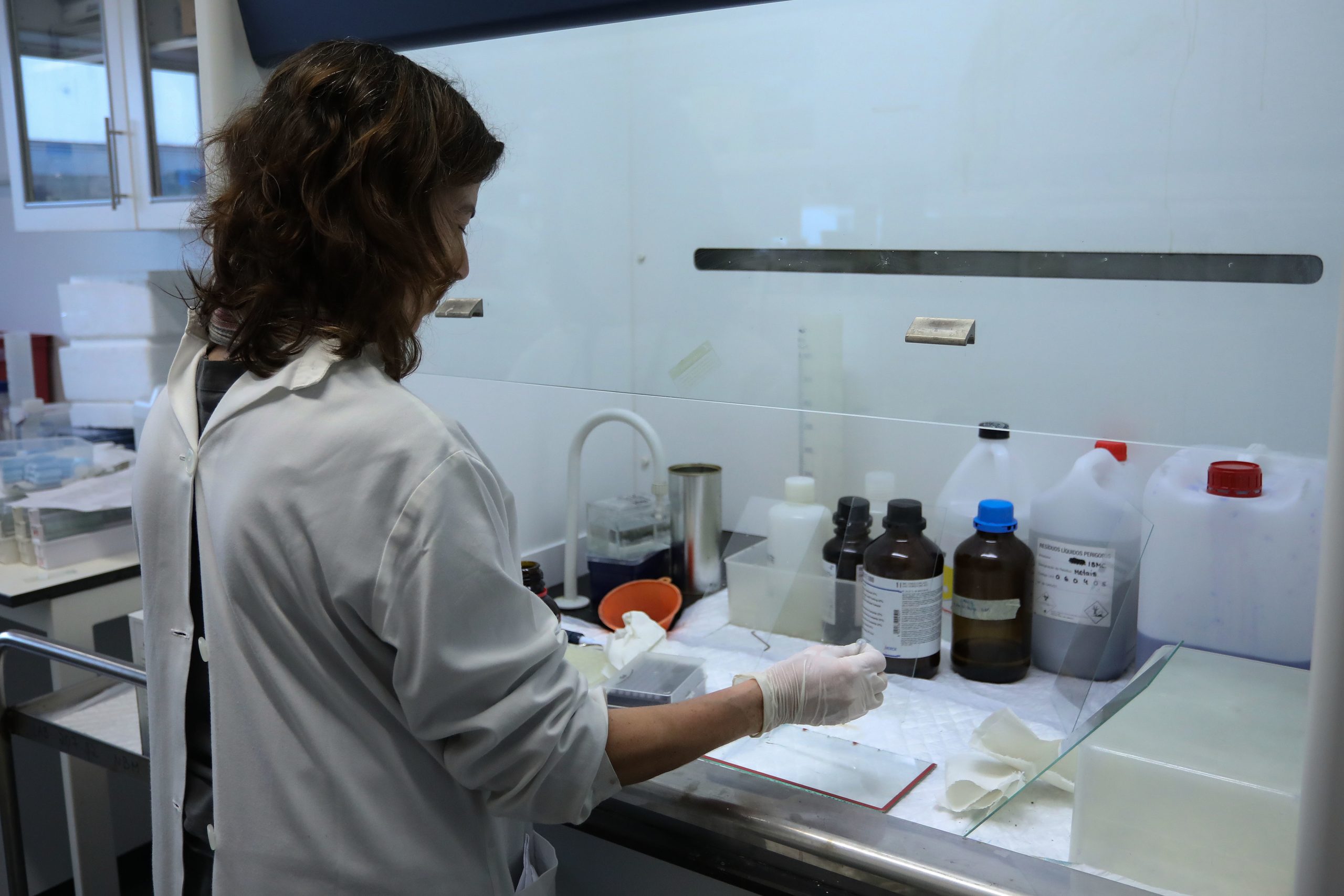 Bolsa norte-americana impulsiona Instituto de Investigação e Inovação em Saúde a avançar com terapia para doença infantil rara