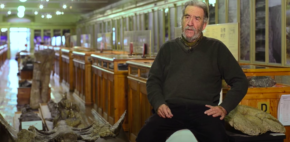 Diretor do Museu Geológico de Lisboa Miguel Ramalho morre aos 83 anos