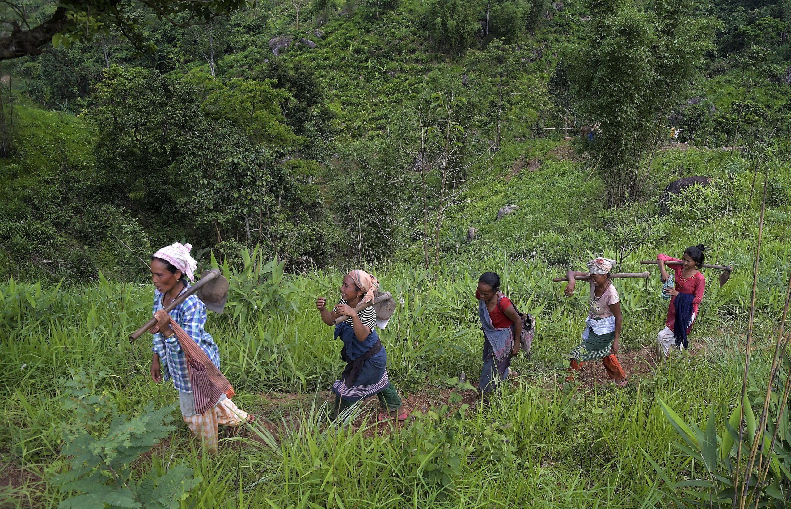 Milhares de indianas retiram úteros para que a menstruação não as impeça de trabalhar