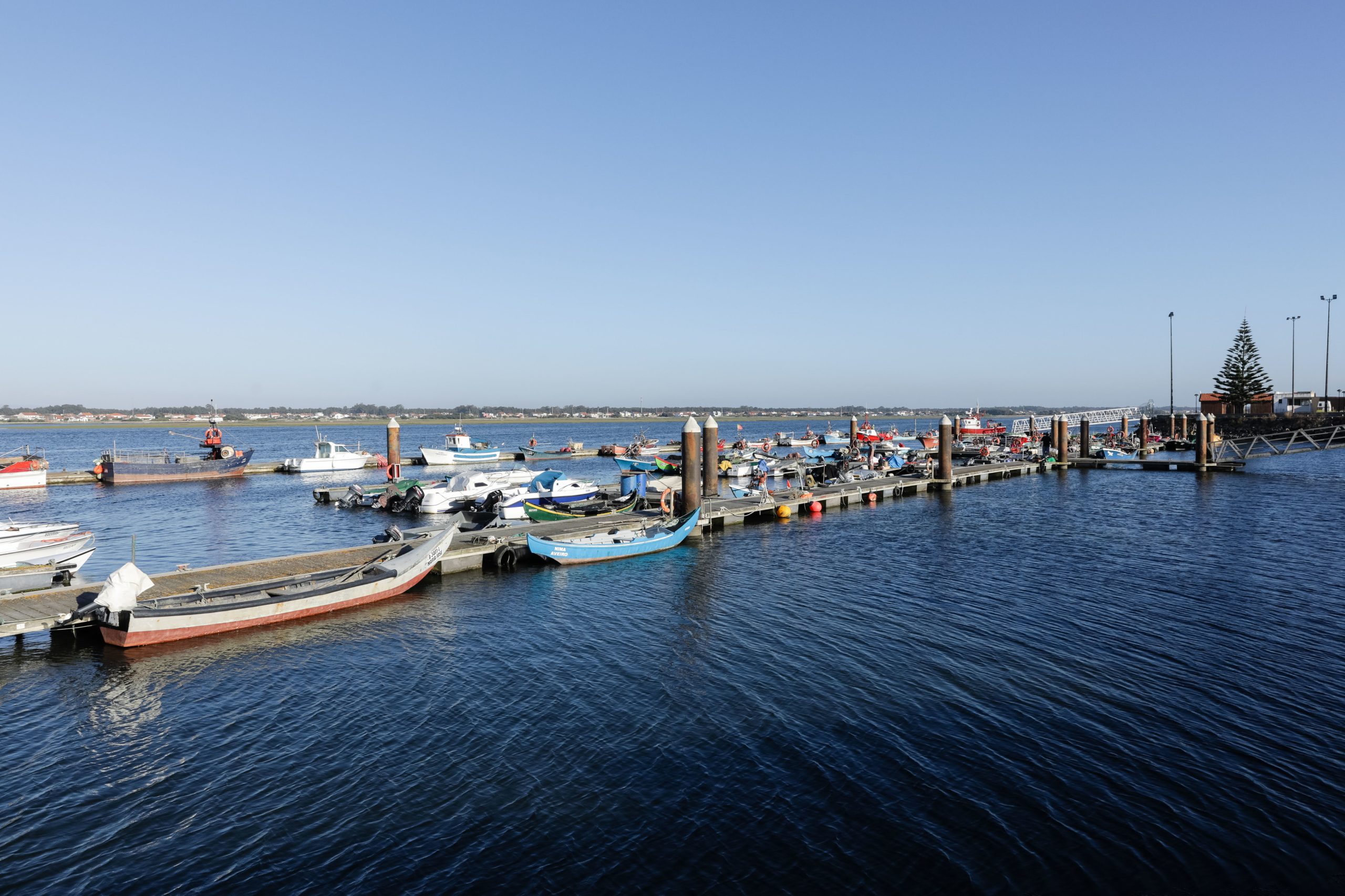 Apreendidos 420 quilos de pescado impróprio para consumo no Mercado da Costa Nova