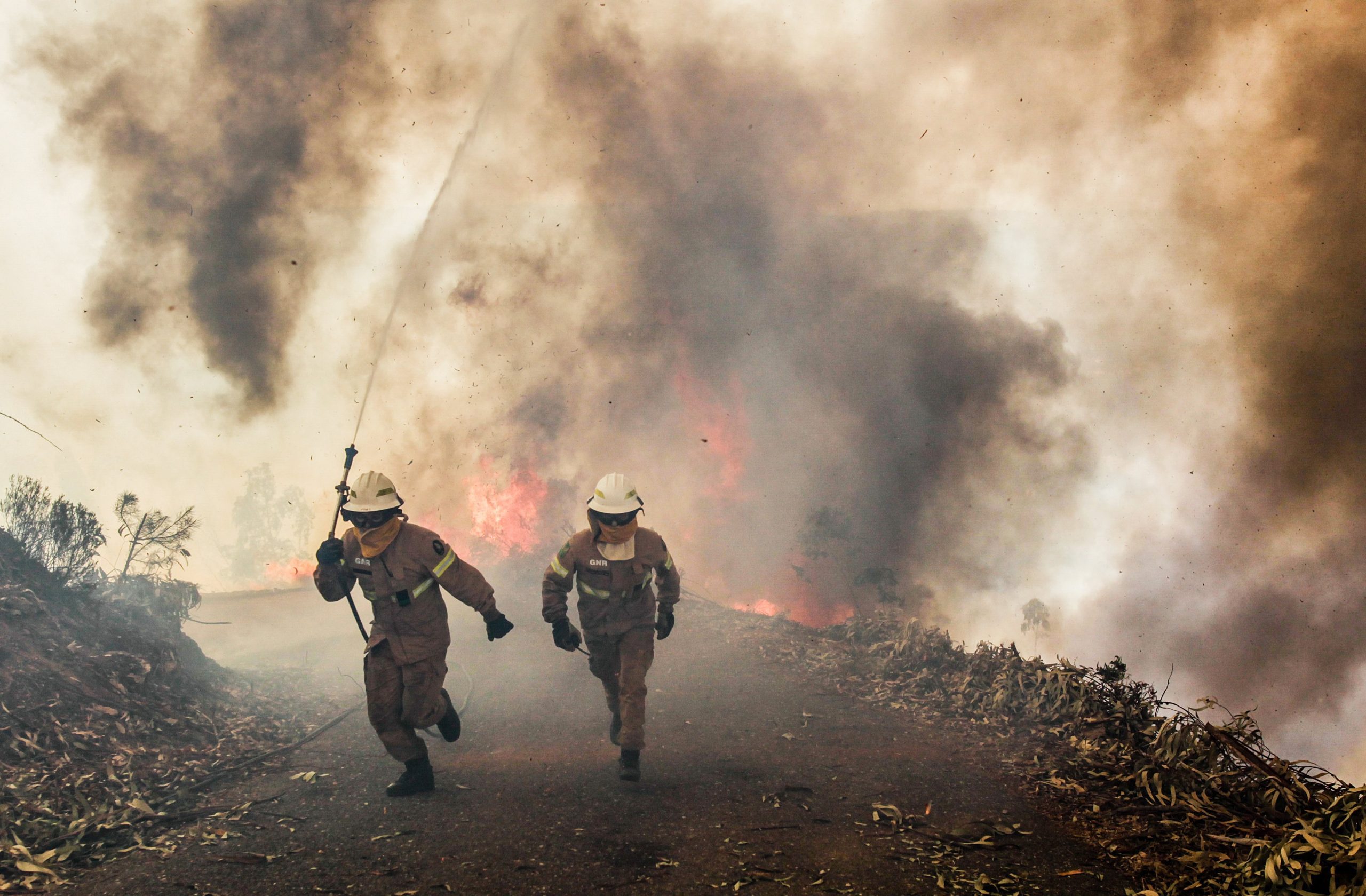 Incêndios: Marinha serviu mais de 300 refeições a operacionais em Alvaiázere
