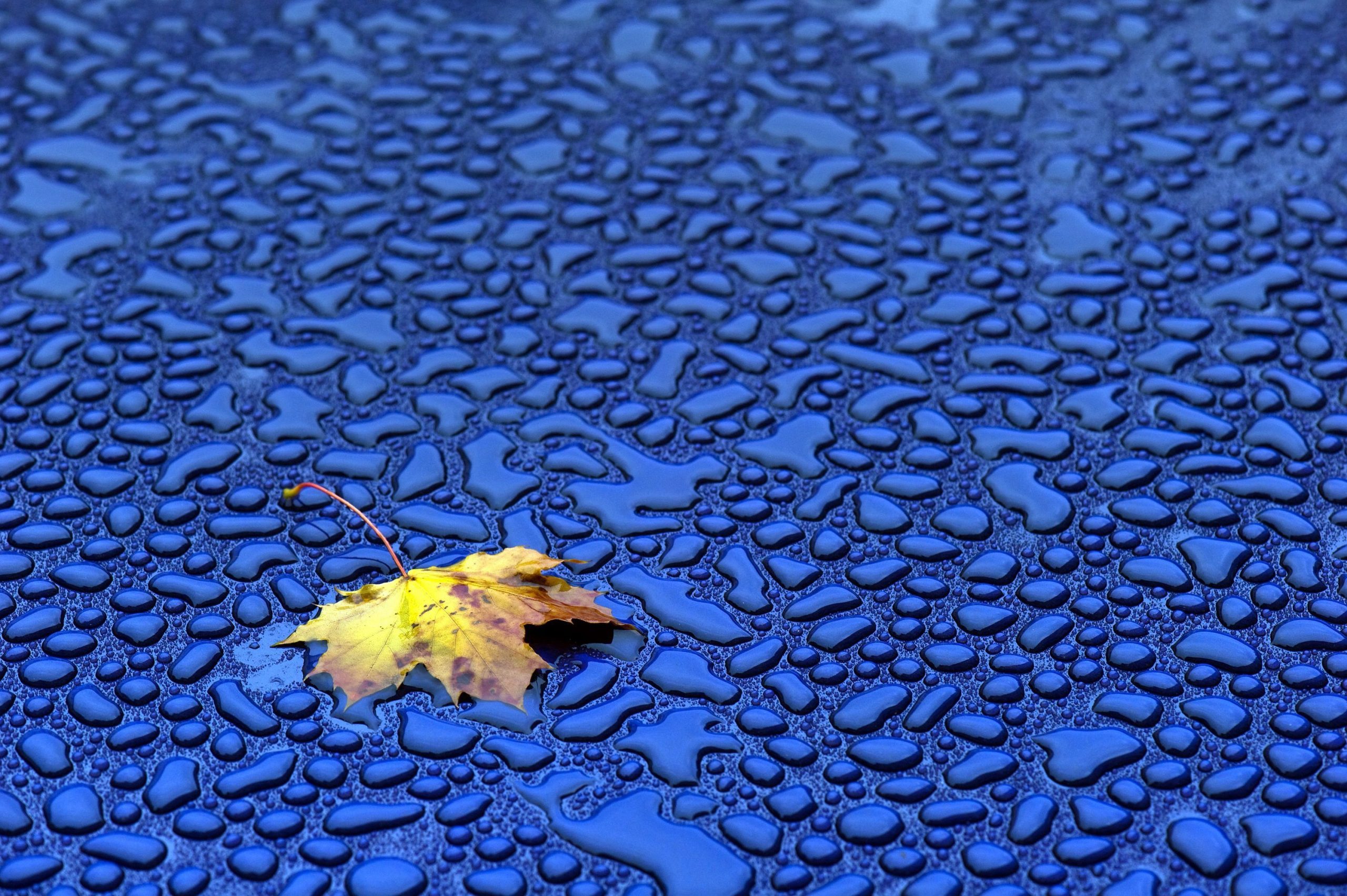Depressão Hortense trouxe chuva e vento. O mau tempo fez estragos em Viseu, mas o pior já está a passar