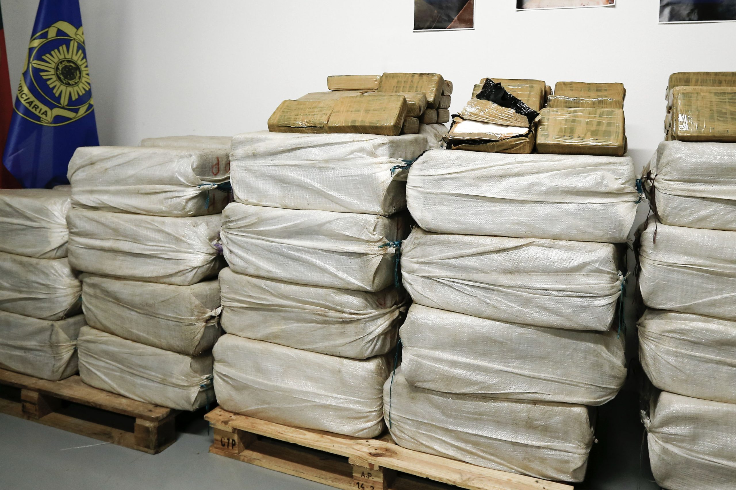 GNR apreende mil doses de droga em operação num festival em Valença