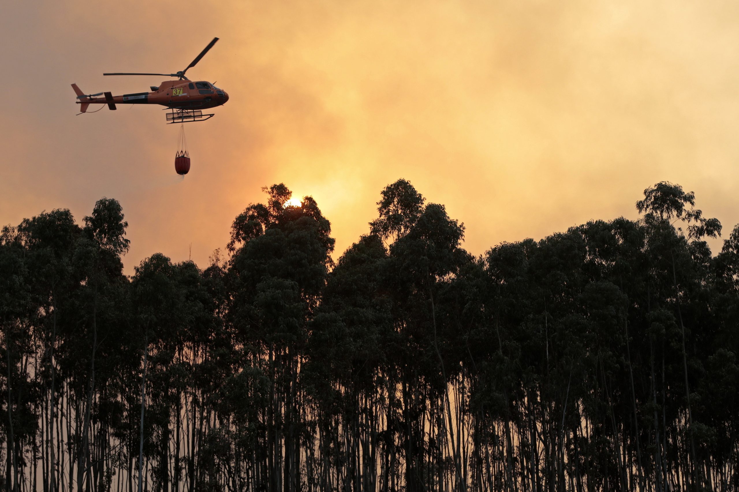 Incêndios: UE está a acompanhar situação de Monchique e está pronta para ajudar