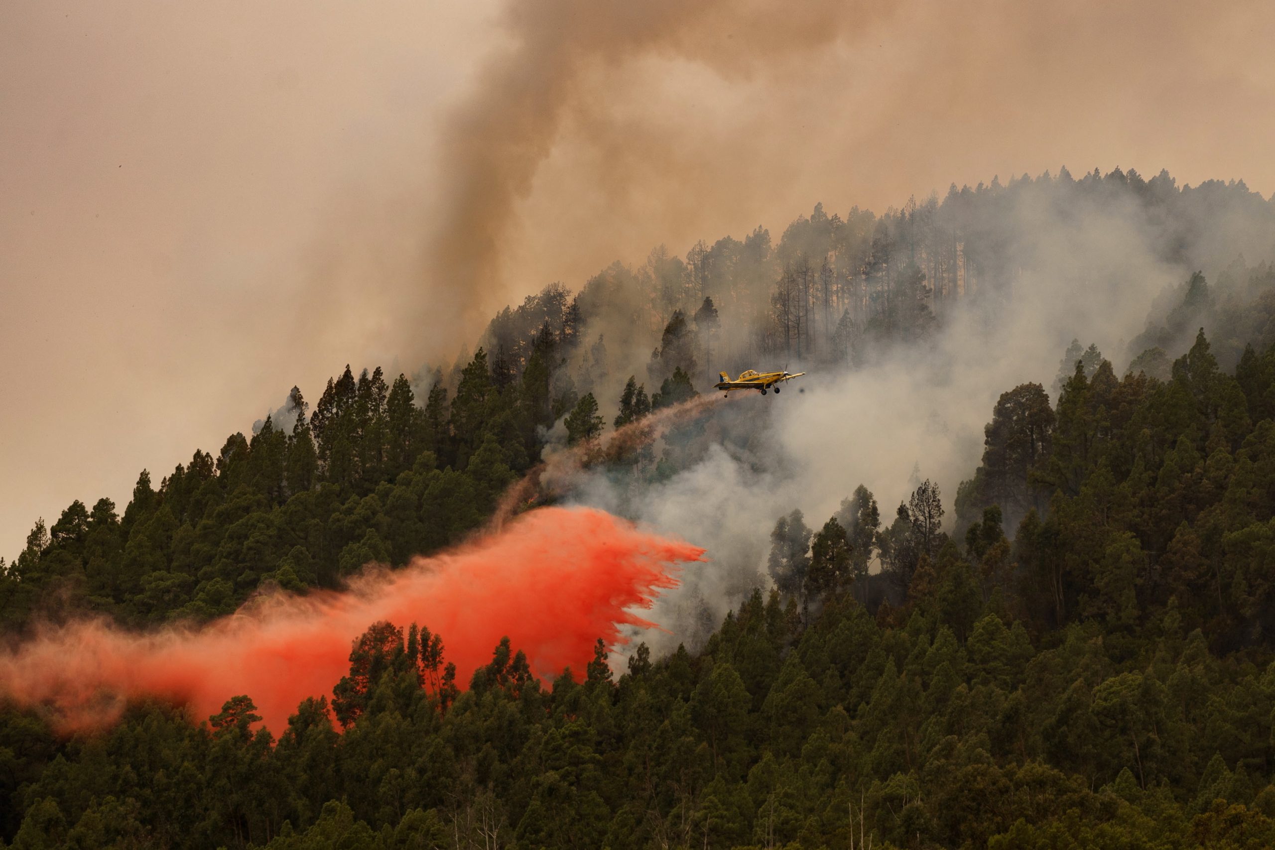 Tenerife enfrenta o incêndio “mais complicado” dos últimos 40 anos