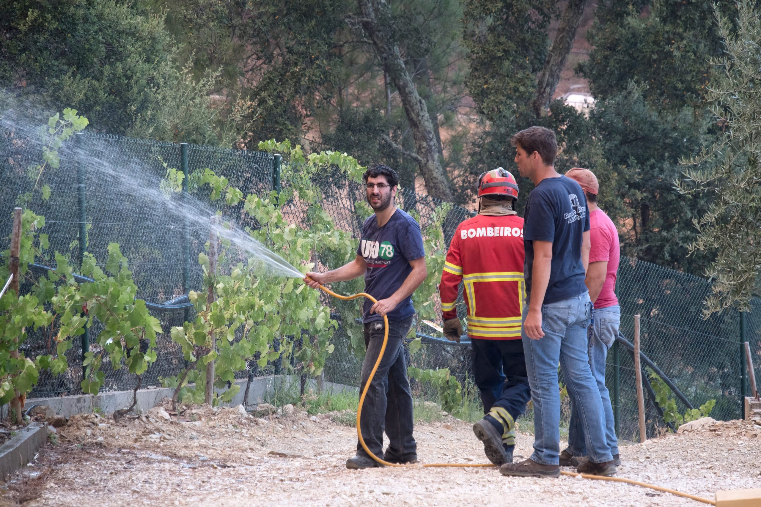 População de Madalhal, Proença-a-Nova, juntou-se aos bombeiros no combate aos incêndios