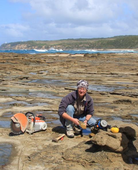 Descobertos vestígios de novo dinossauro herbívoro do tamanho de um peru