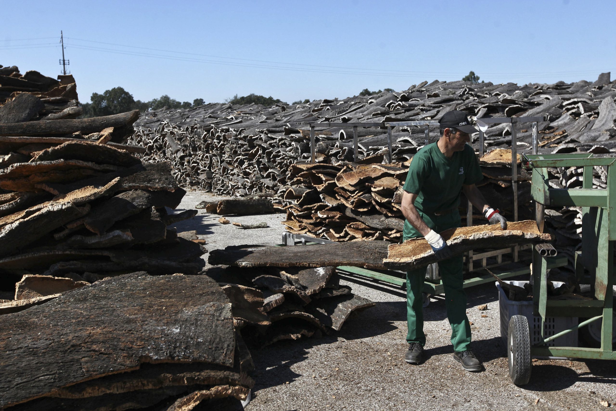 Lucro da Corticeira Amorim aumenta 6,8% no primeiro trimestre do ano