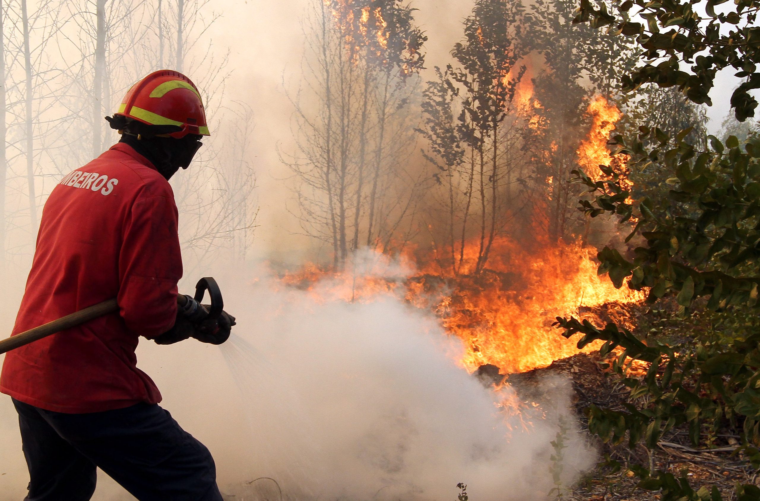 PJ detém homem suspeito de atear incêndio florestal em Loulé