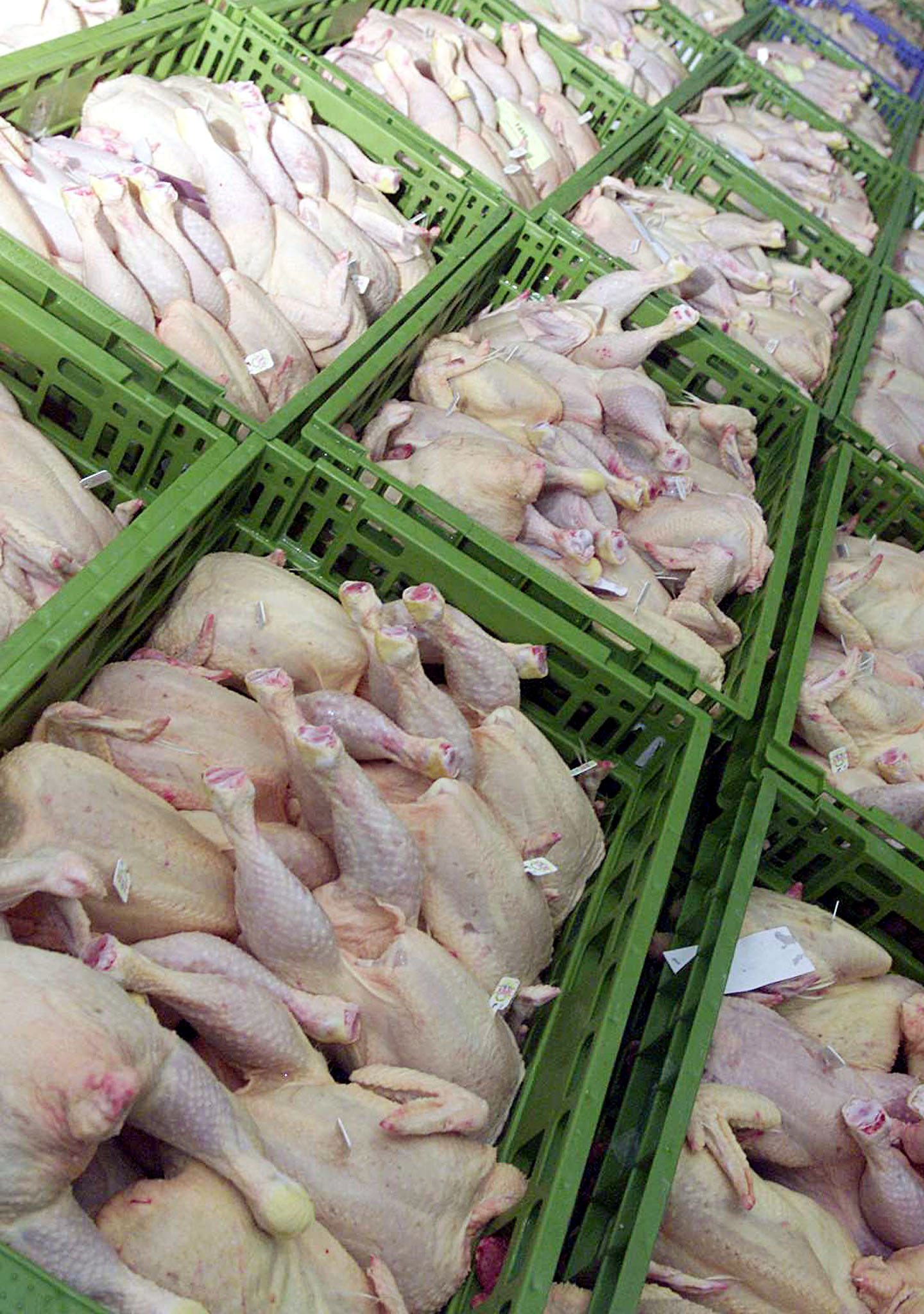 Produtores de carne fresca de aves podem começar a exportar para o Chile