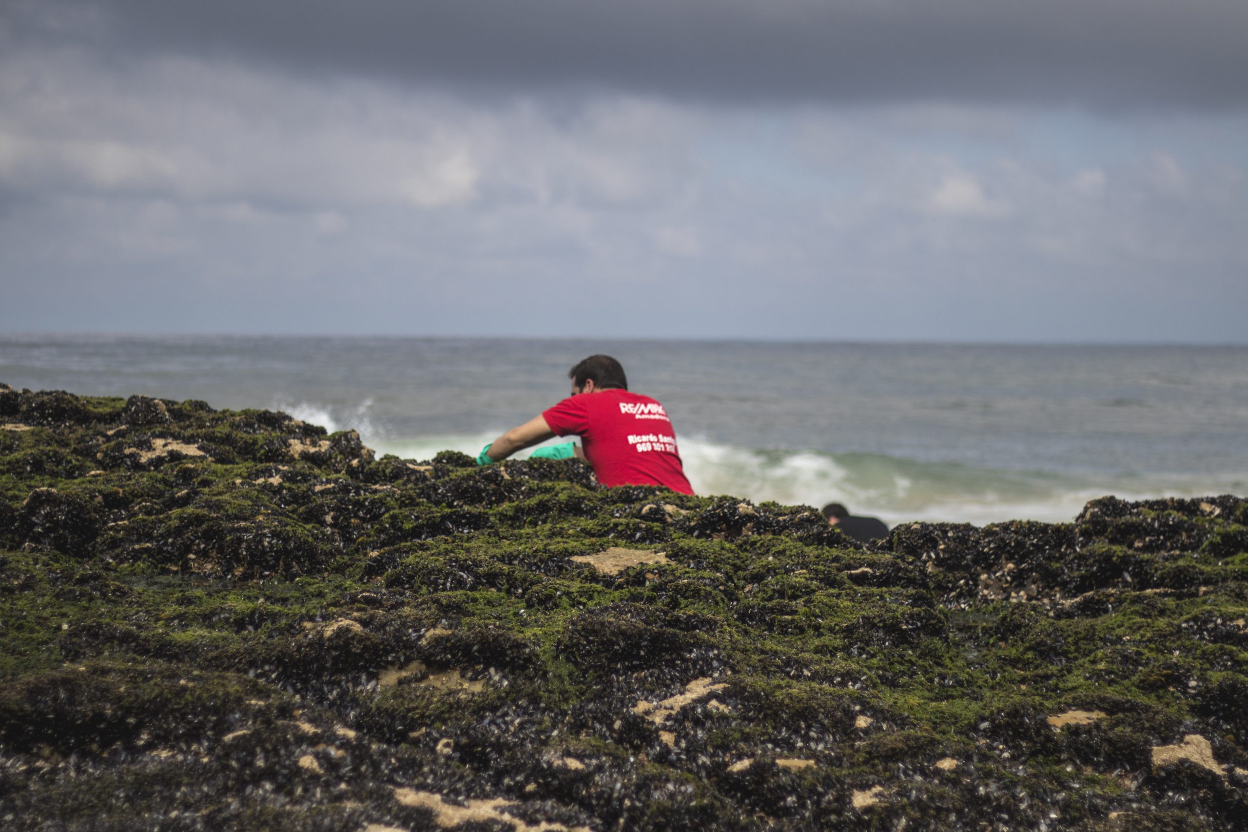 Qualidade da água torna Sagres zona apetecível para aquacultura de mexilhões
