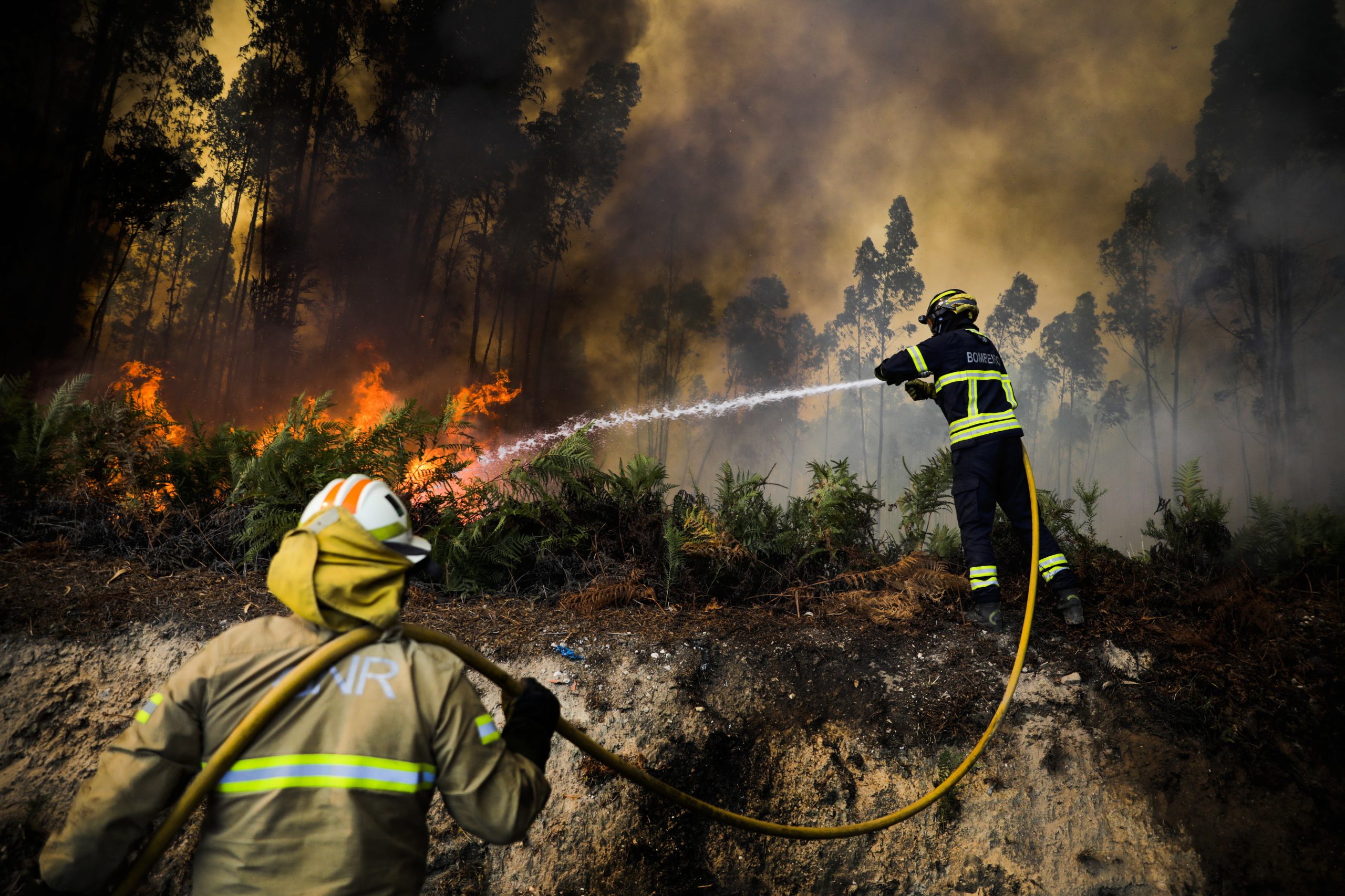 Meios de combate a incêndios florestais reforçados a partir de hoje