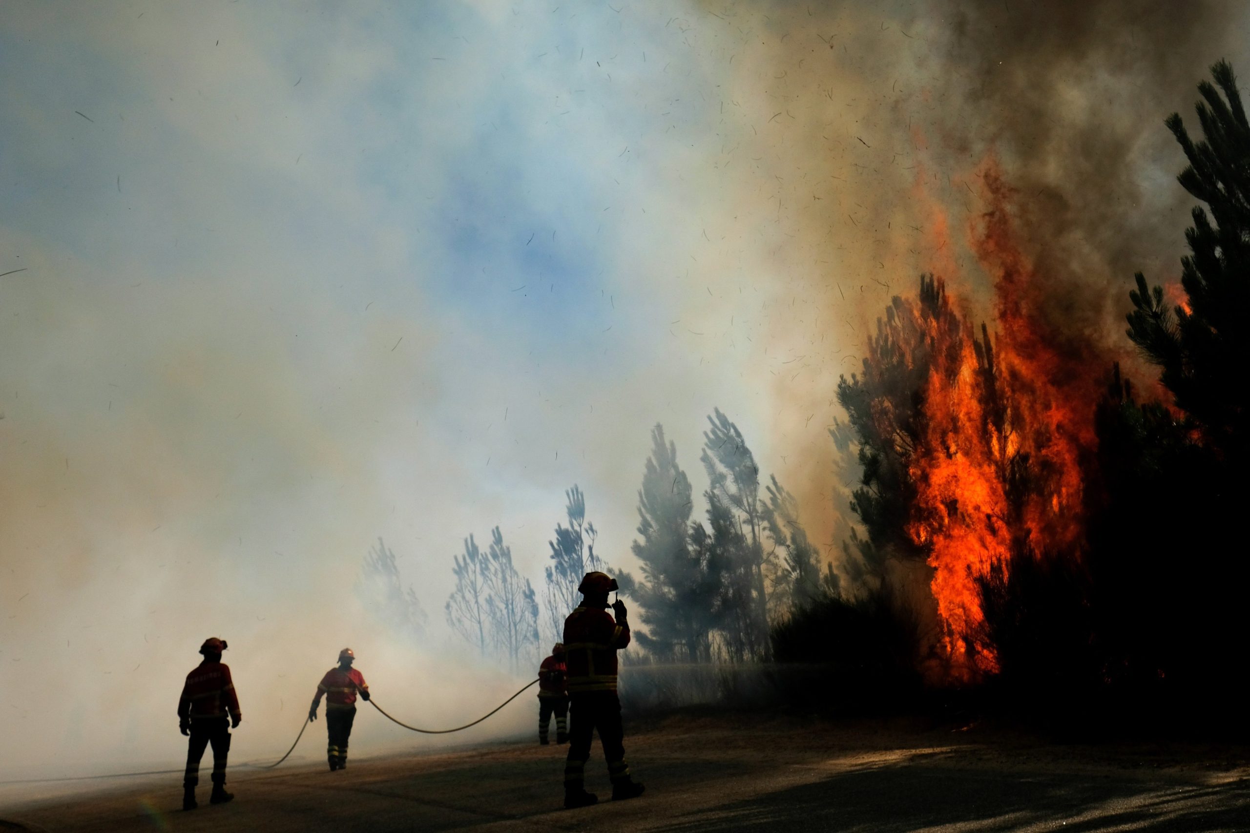 Bombeiros em Silvares já em “manobras de rescaldo e declarações do perímetro”. Incêndio ainda não está totalmente estabilizado