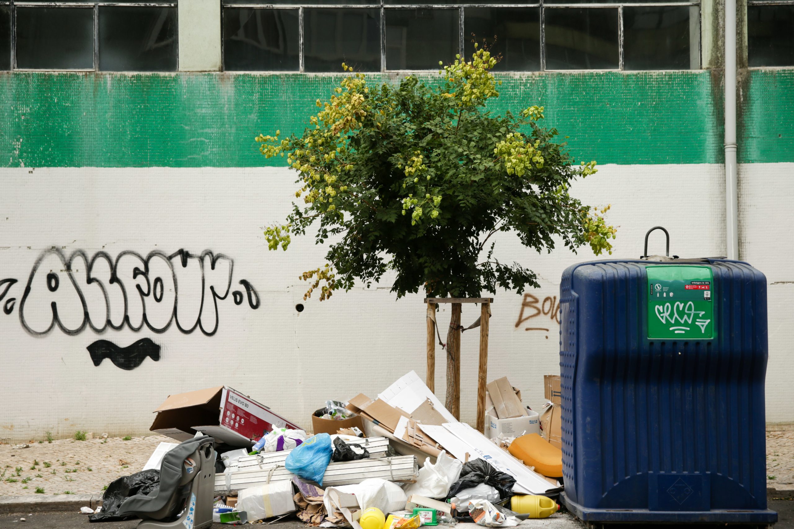 Cheira mal, cheira a Lisboa. O aumento do lixo na capital, as queixas e os pedidos de responsabilização