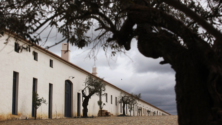 Feira de atividades económicas de Reguengos de Monsaraz com 100 expositores