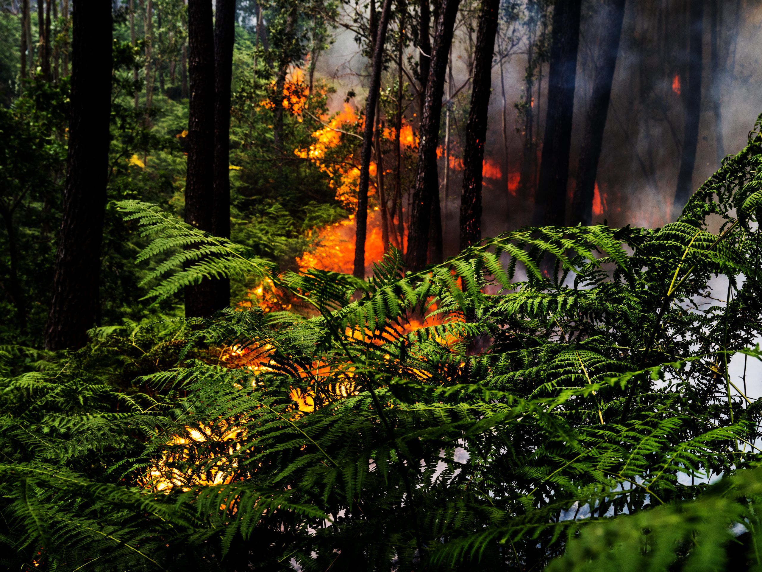 Incêndios: Governo lança campanha para incentivar turismo no Centro após cancelamentos