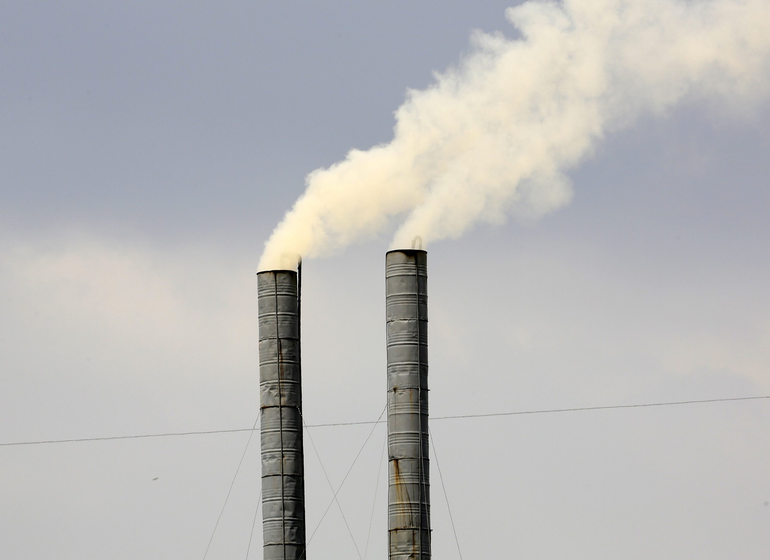 Portugal desenvolve mercados voluntários de carbono para diminuir emissões de CO2