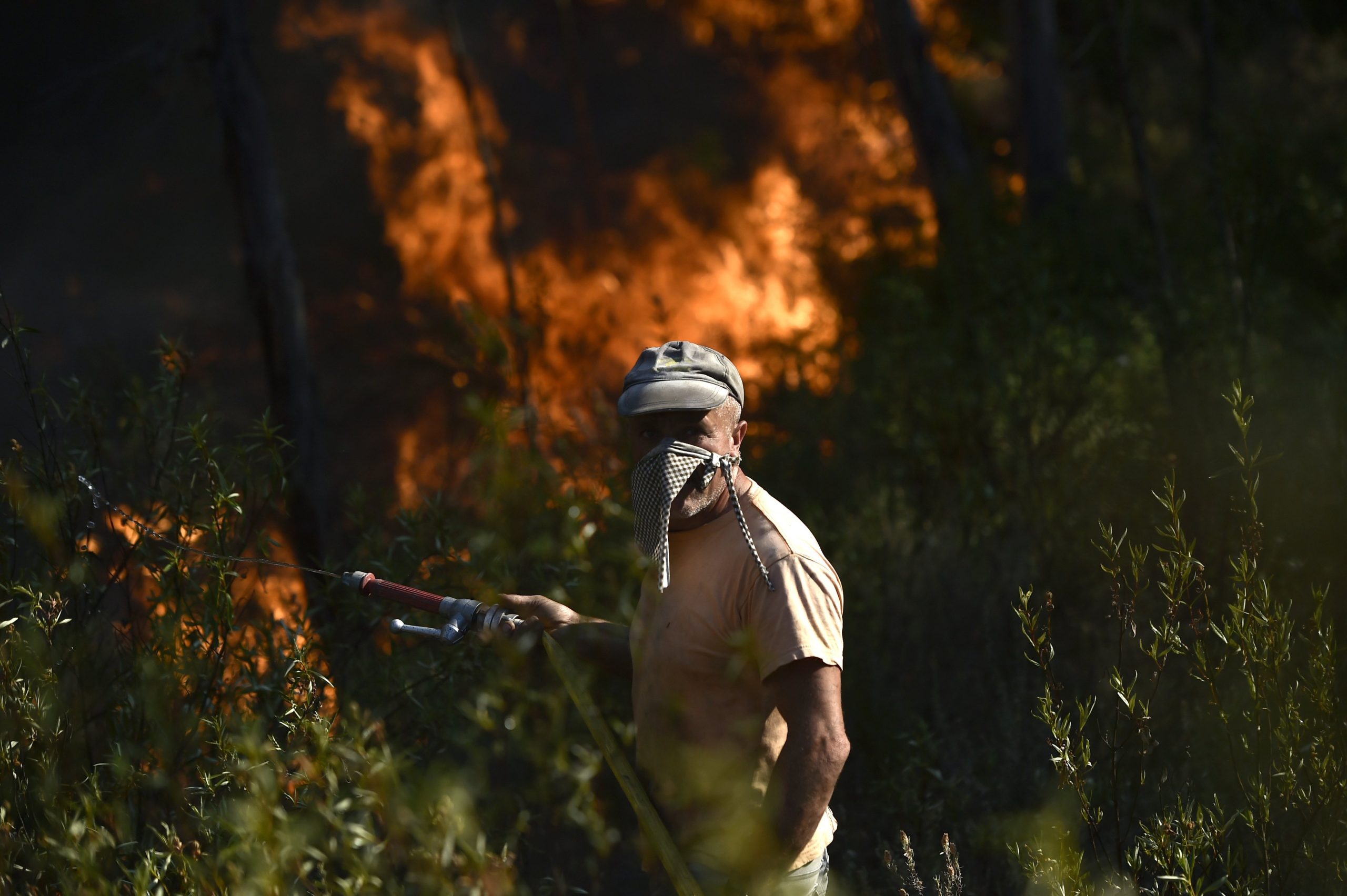 Incêndios: Escolas e creches de Vagos encerradas hoje