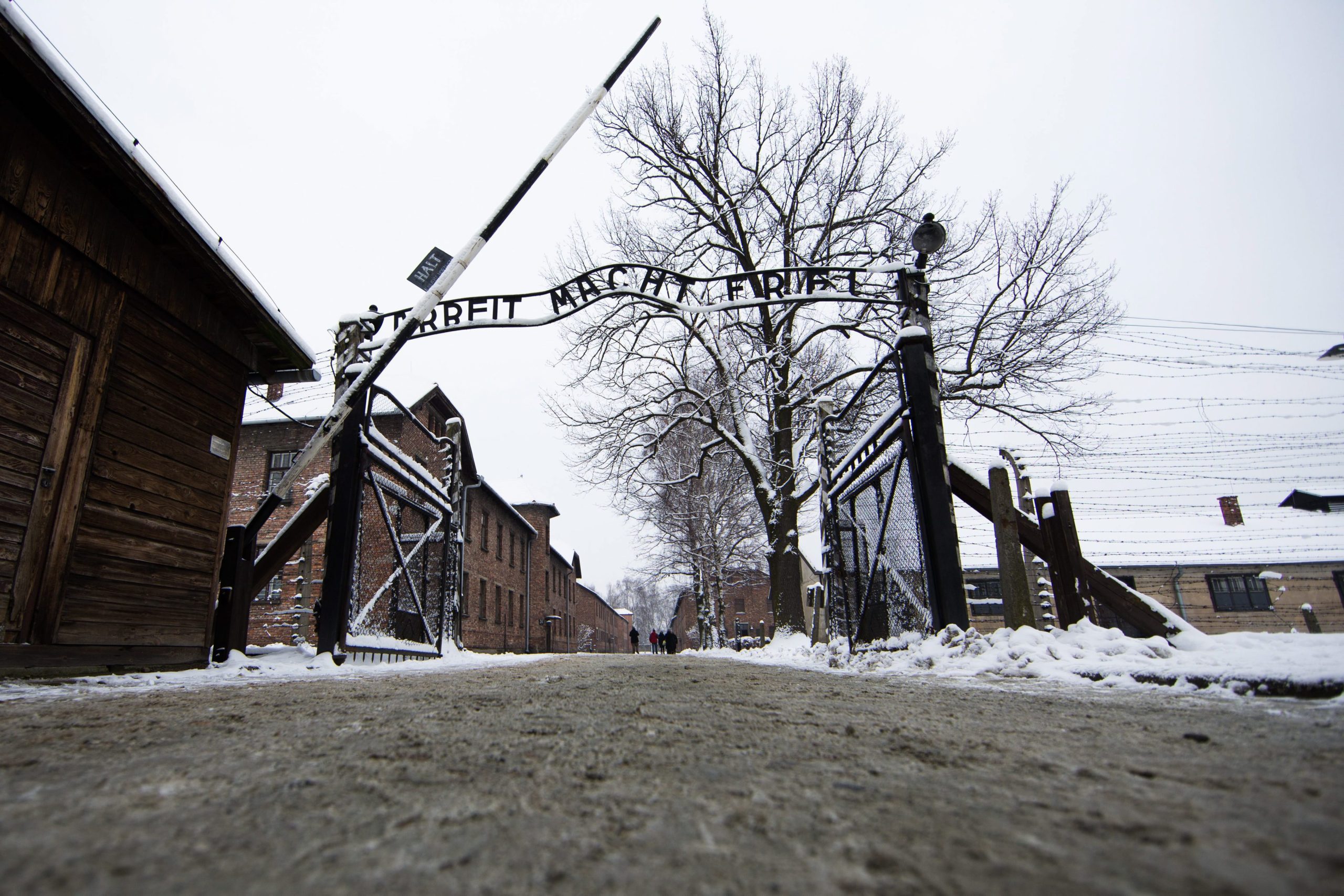 Os mais novos acham que o holocausto foi um mito: Auschwitz-Birkenau Memorial com visitas online pelo não esquecimento