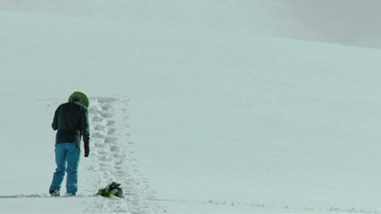 Simon Beck: o artista que caminha para criar arte na neve