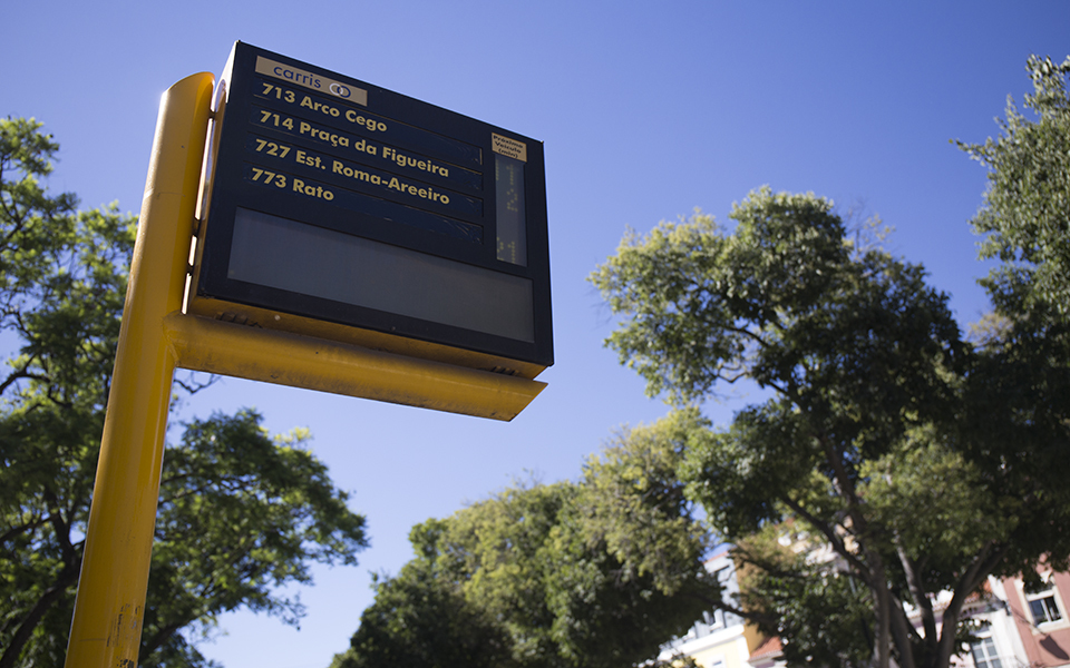 Cartão Navegante Escola. Câmara de Lisboa quer que crianças cativem pais para o transporte público