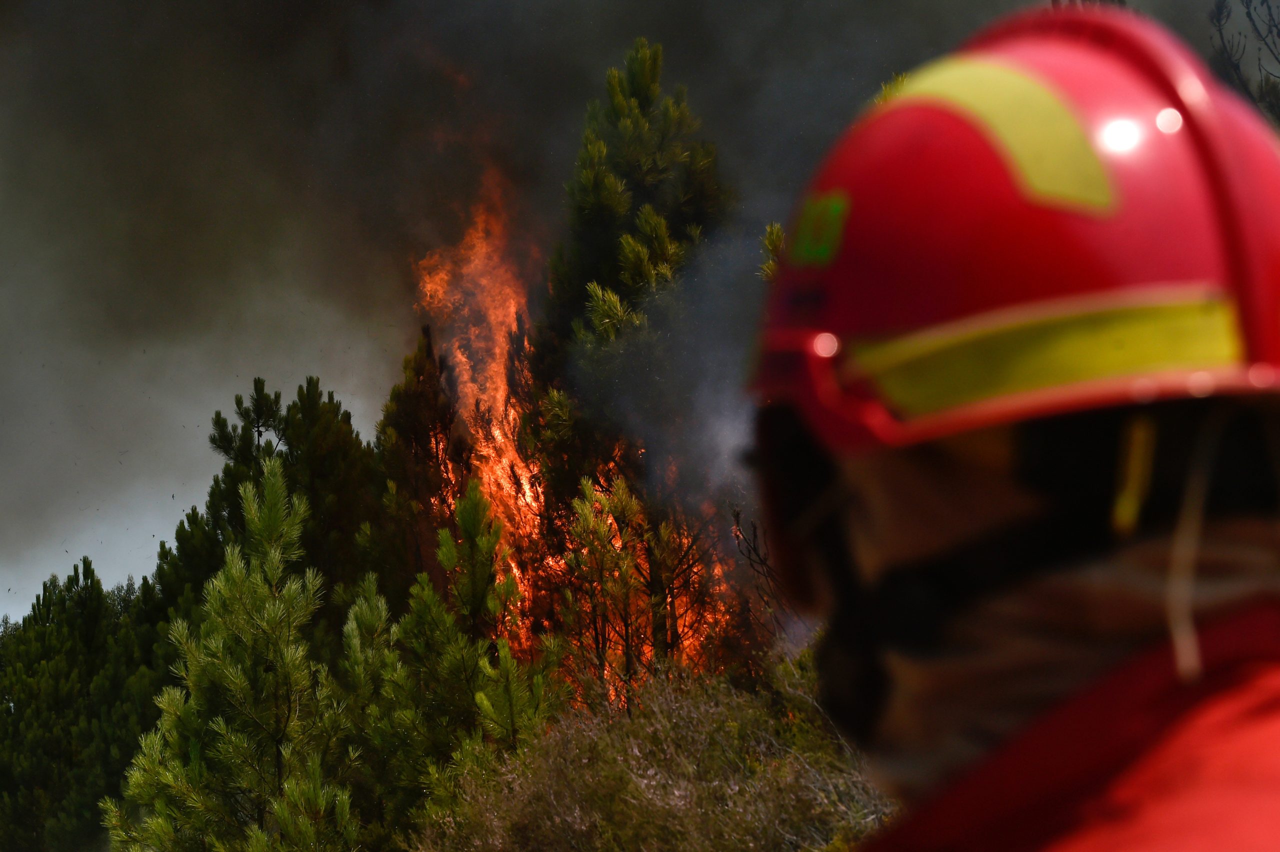 Incêndios: Detida mulher suspeita de ter ateado fogo com um cigarro em Proença-a-Nova