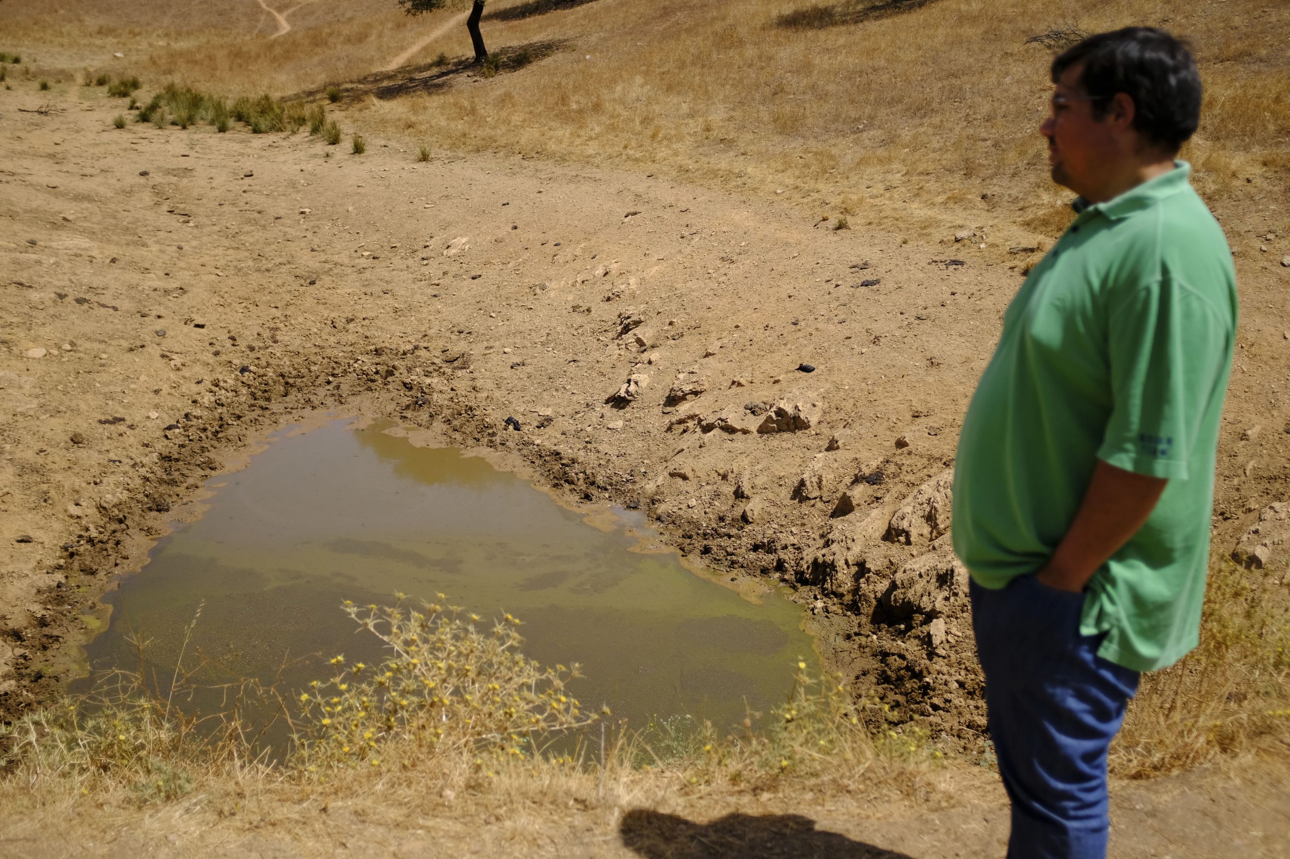 Governo alarga apoios a agricultores afetados pela seca a mais quatro concelhos
