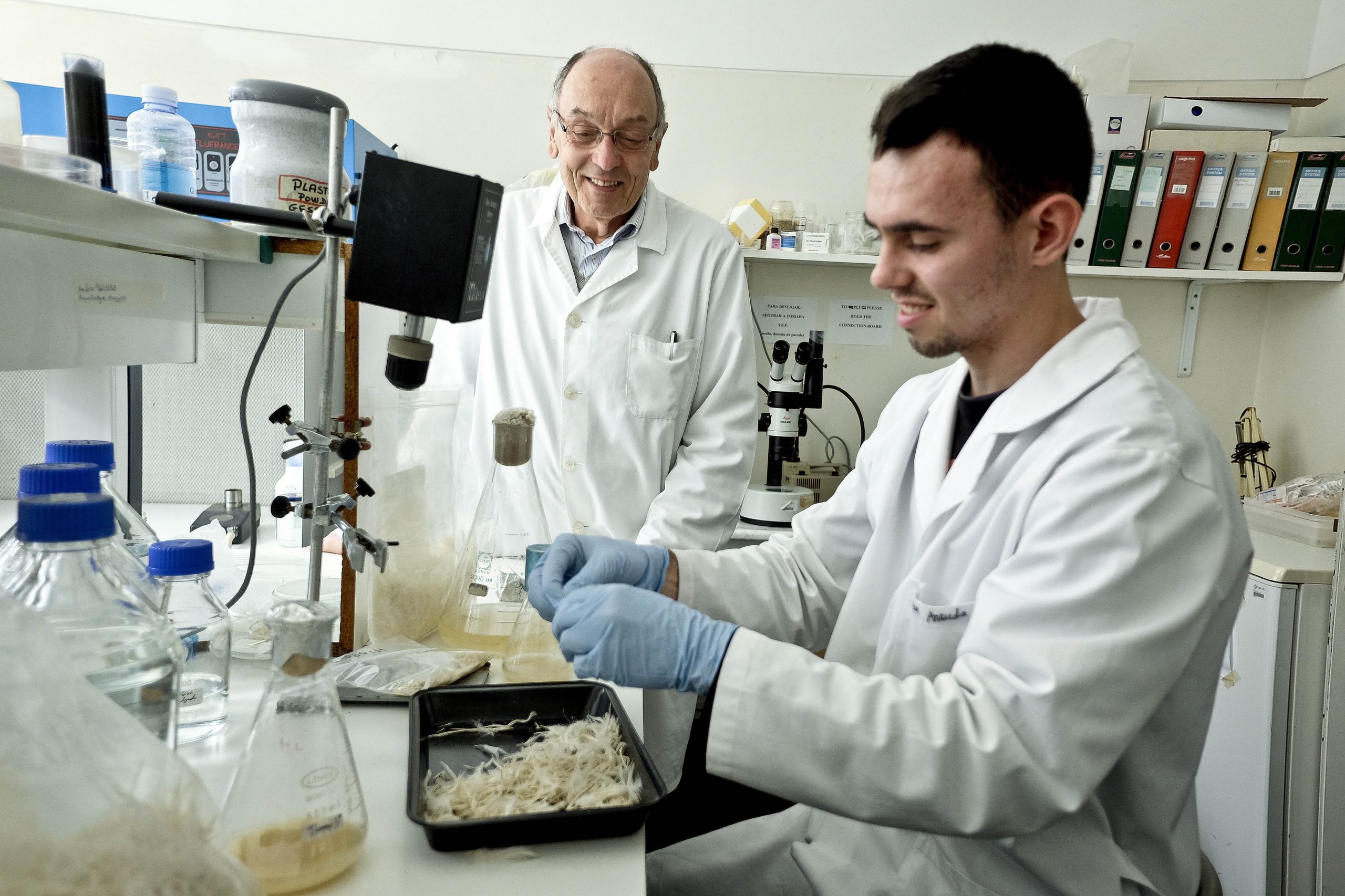 Nanopartículas com controlo remoto por laser aumentam sucesso de células transplantadas