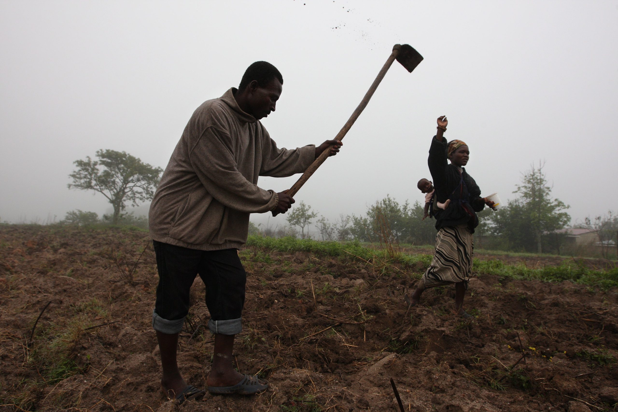 África precisa “fazer as coisas de forma diferente” na área agroalimentar