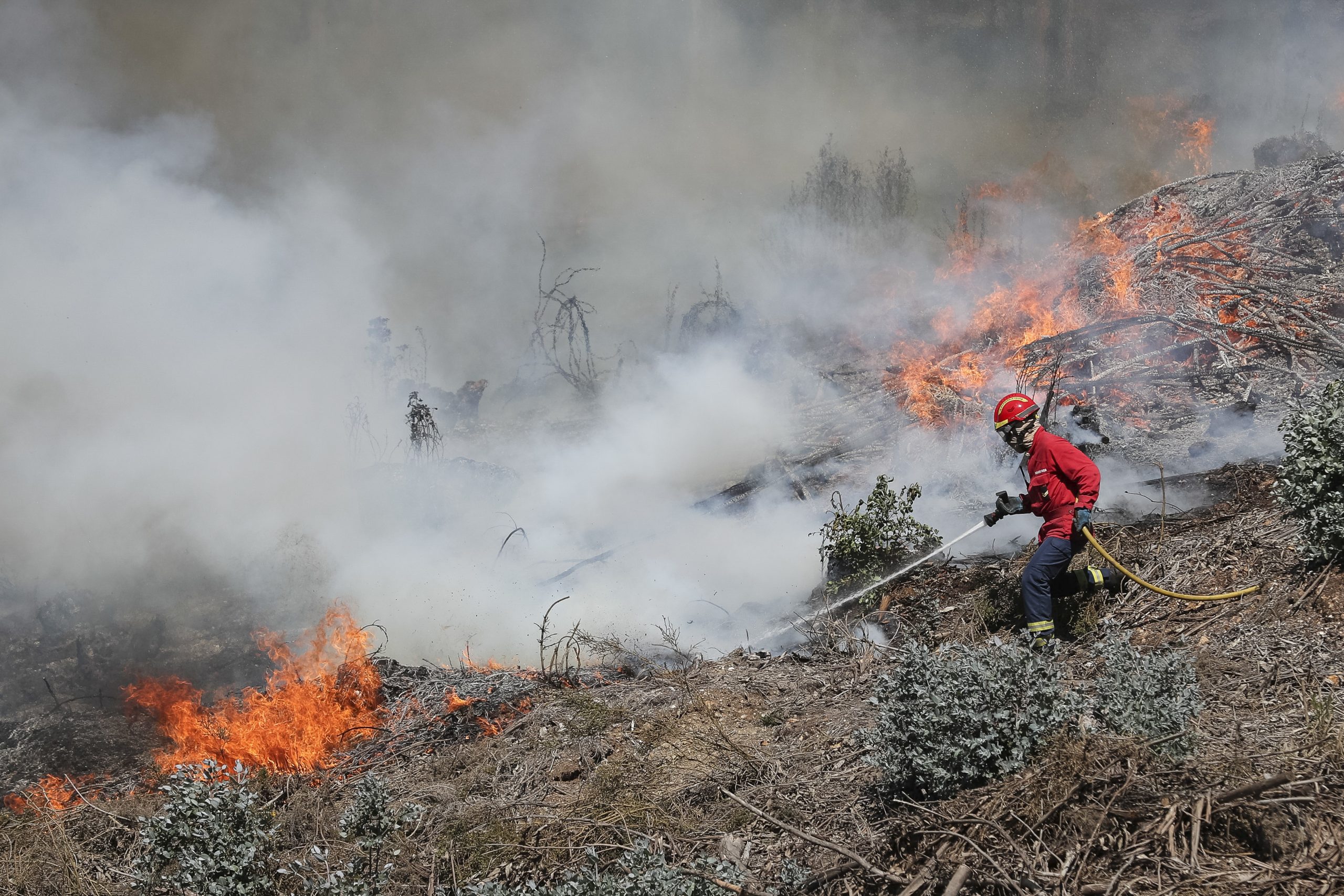 Incêndios: Fogo em Alvaiázere em fase de resolução, A13 reaberta ao trânsito