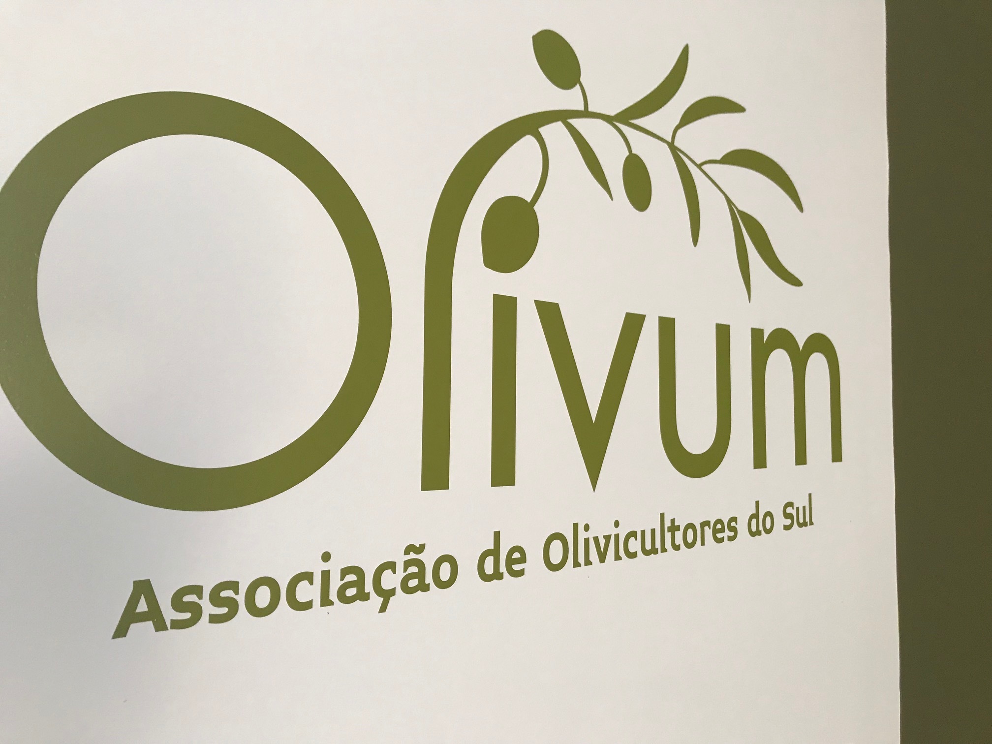 O futuro do Olival e a nova revolução em curso no Baixo Alentejo em debate