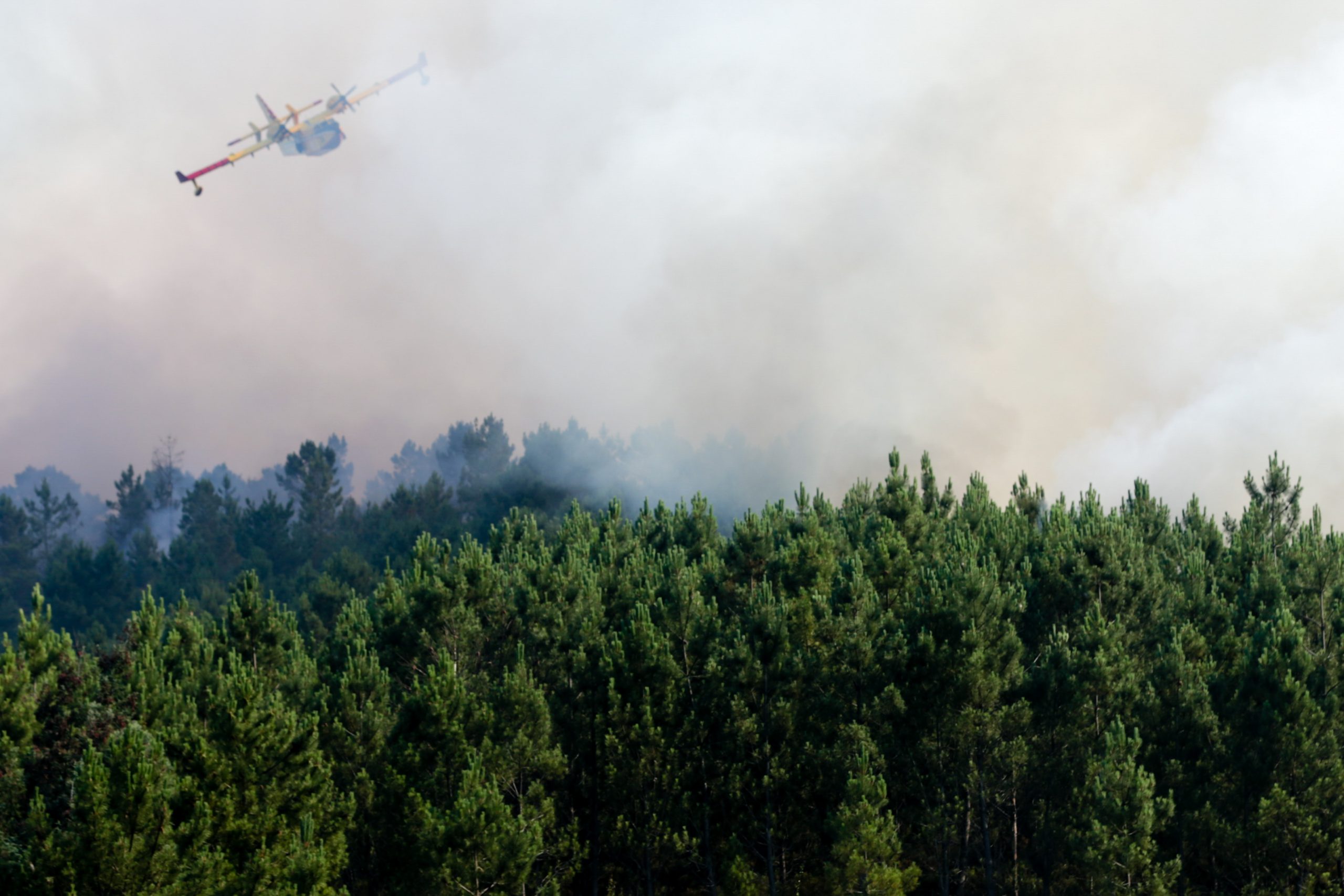 Fogo obriga ao corte da A7 entre Ribeira de Pena e Arco de Baúlhe